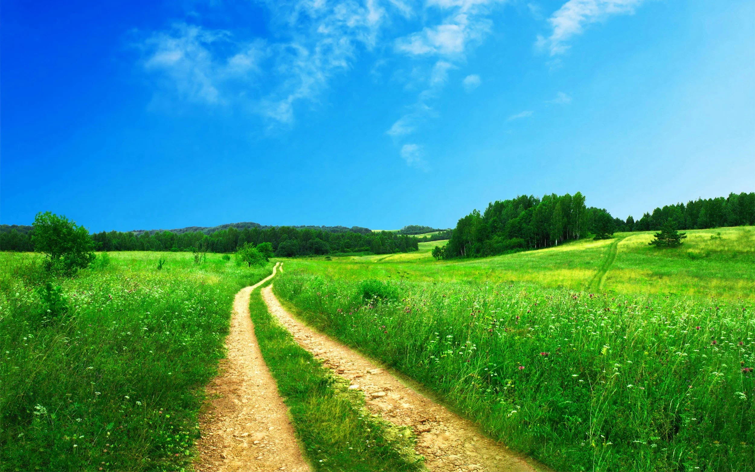 A dirt road winding through a green field with trees and hills in the distance under a bright blue sky with some clouds.