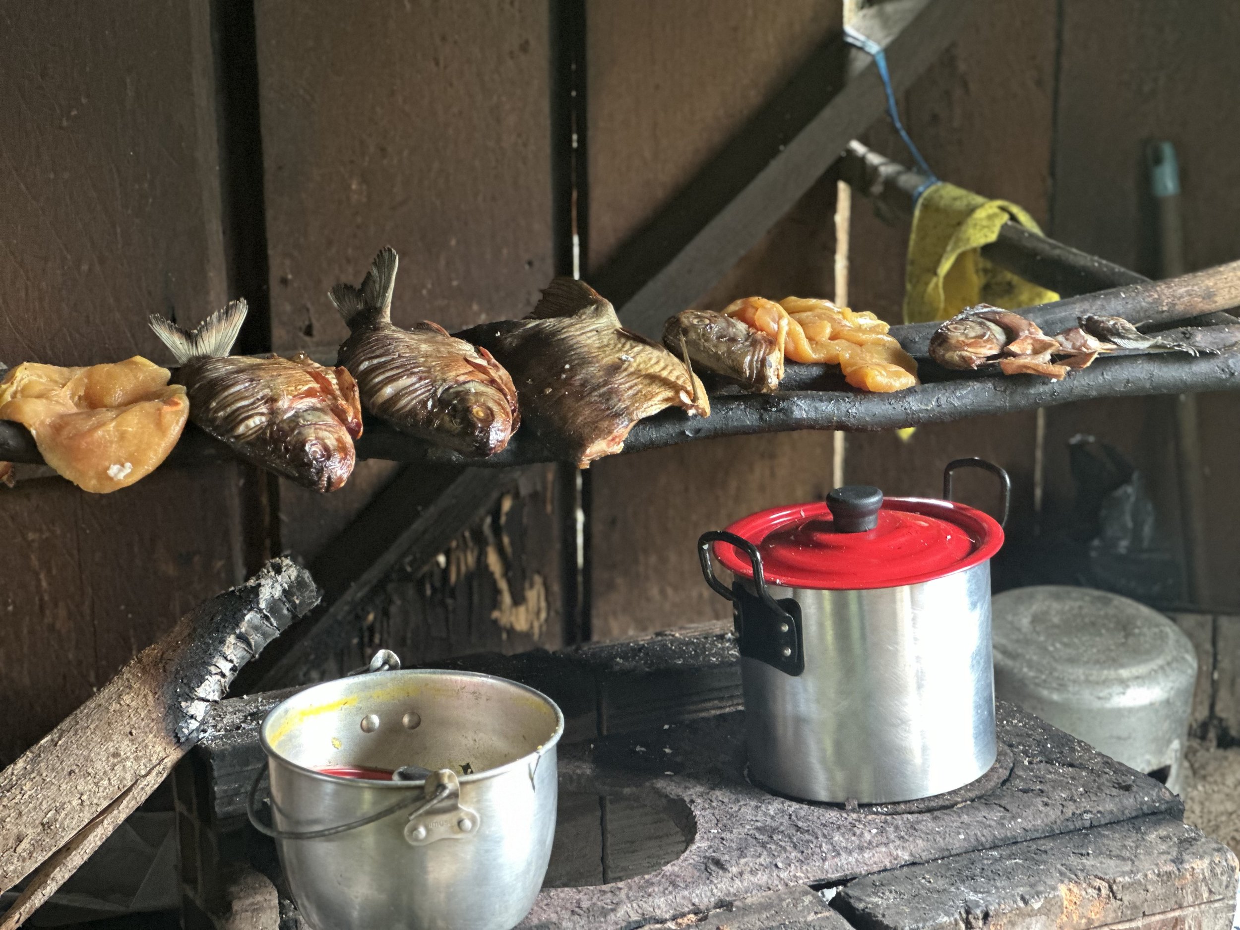 Three fish and some stomachs lined up on a grate over a wood stove. There are two pots on the stove, one with a red lid and another without a lid.