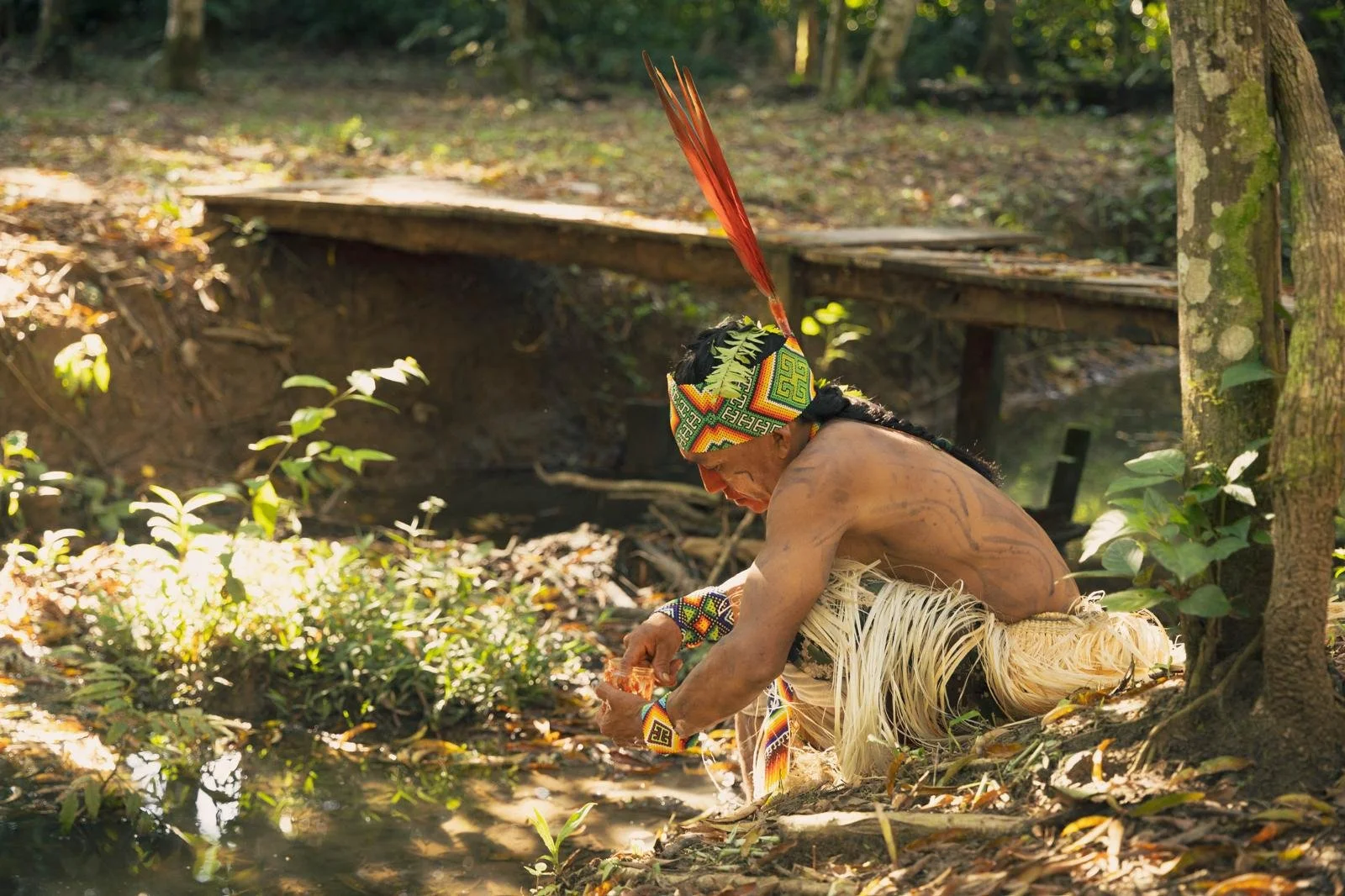 WhatsApp Image 2026-02-03 at 19.06.31 (4).jpeg