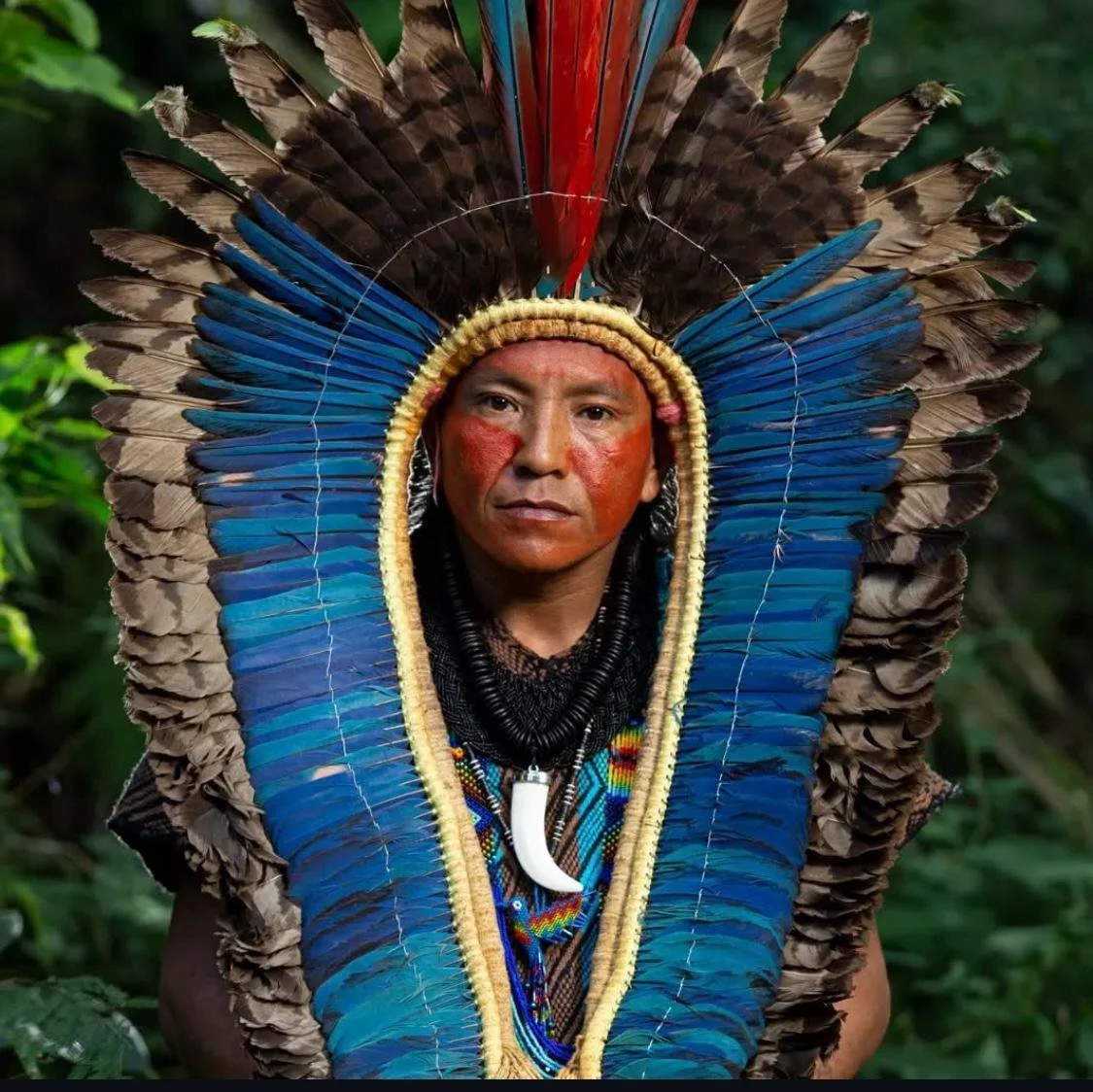 WhatsApp Image 2026-02-03 at 19.06.31 (1).jpeg