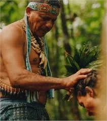 An elder indigenous person combing a child's hair in a jungle setting.