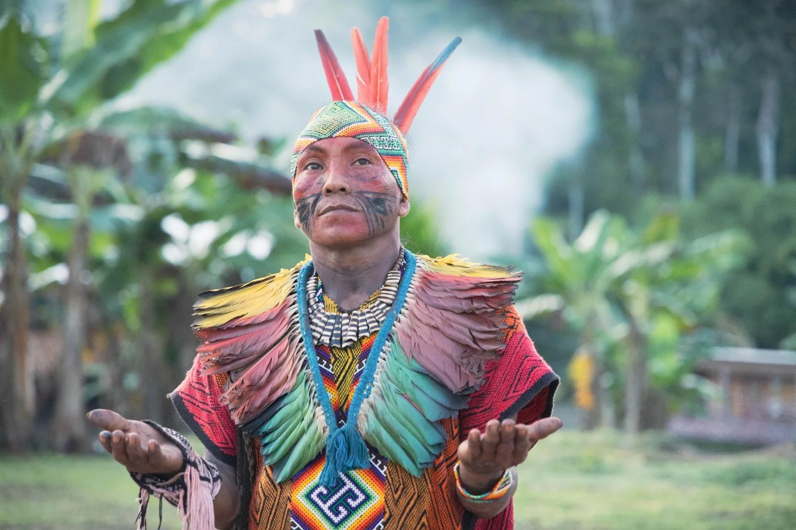 WhatsApp Image 2026-02-03 at 19.06.31 (2).jpeg