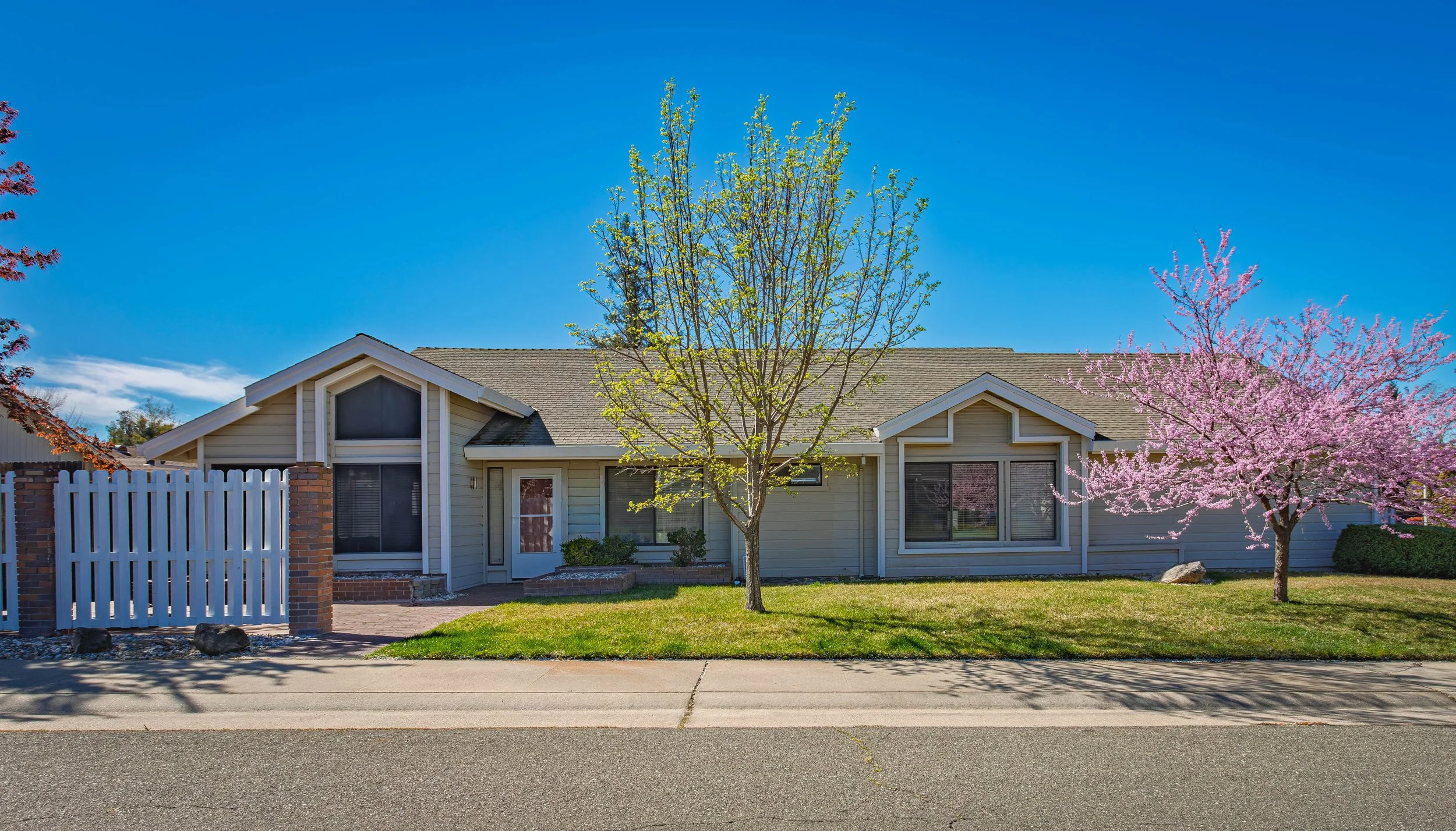 Front Yard Street.jpg