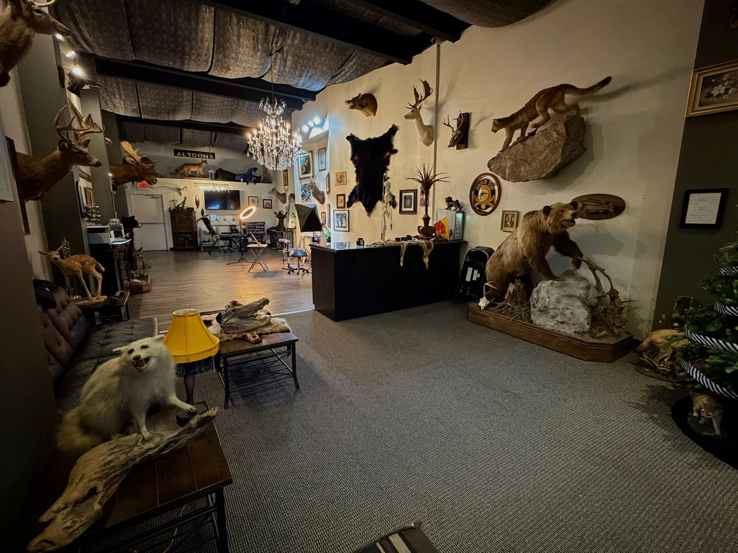 Interior of The Shop at CREate Tattoo Studio, a private one-on-one tattoo space owned by Cody Eckenrode that is filled with antiques, artwork, and taxidermy.