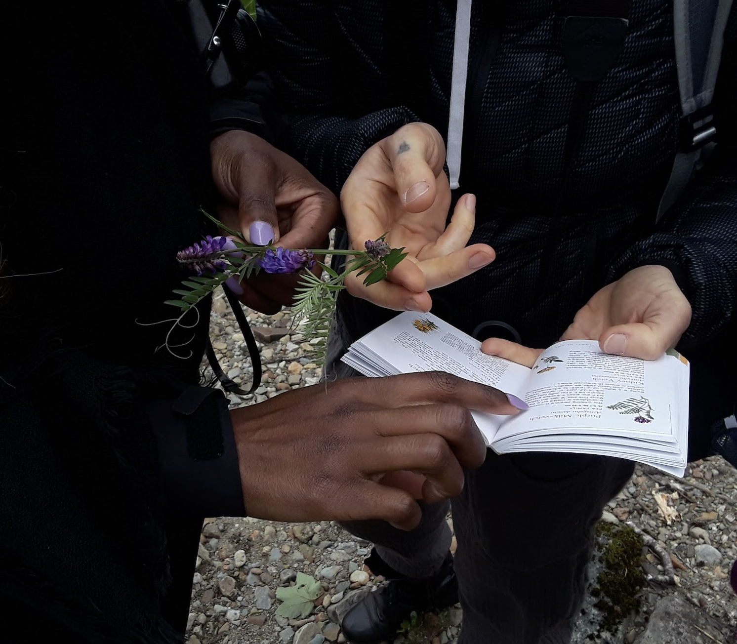 Screenshot 2026-01-08 at 4.24.11 PM.png