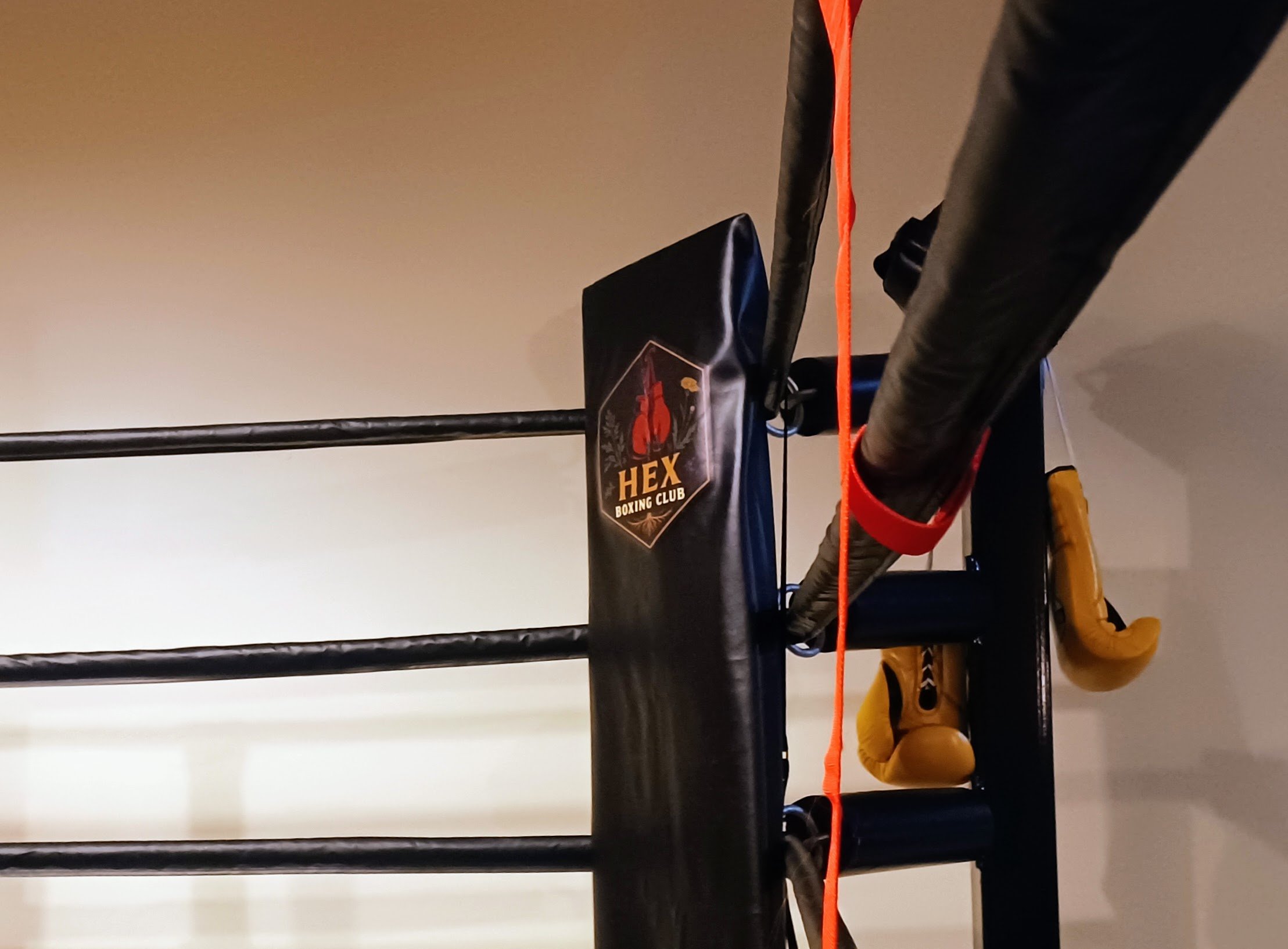 HEX Boxing Membership1.jpg