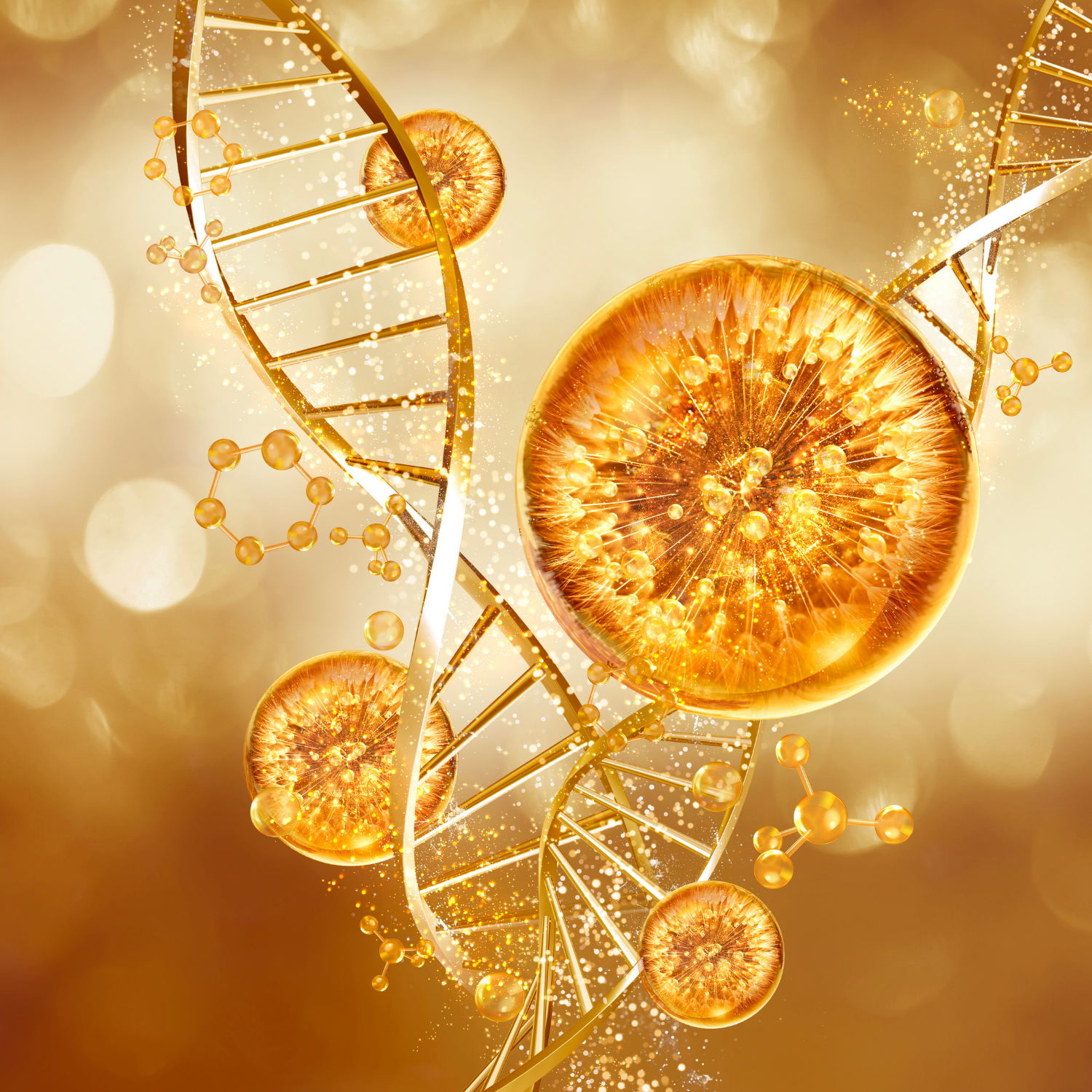 Salmon DNA in Skincare? The Science Behind PDRN and Skin Regeneration