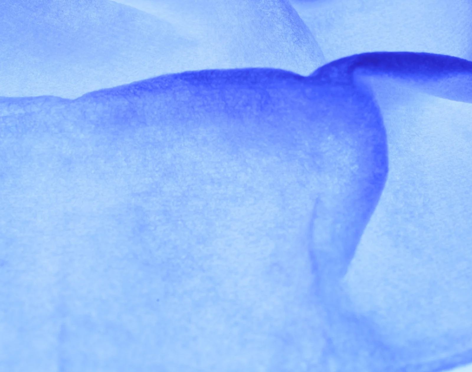 IS-Clinical-Active-Peel-System-2.png