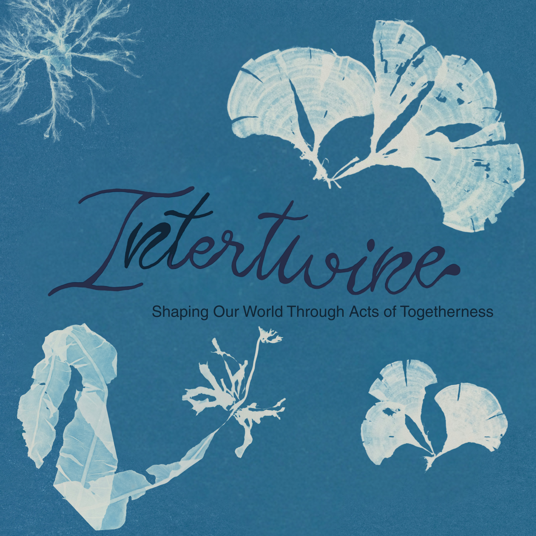 Intertwine: Shaping Our World Through Acts of Togetherness