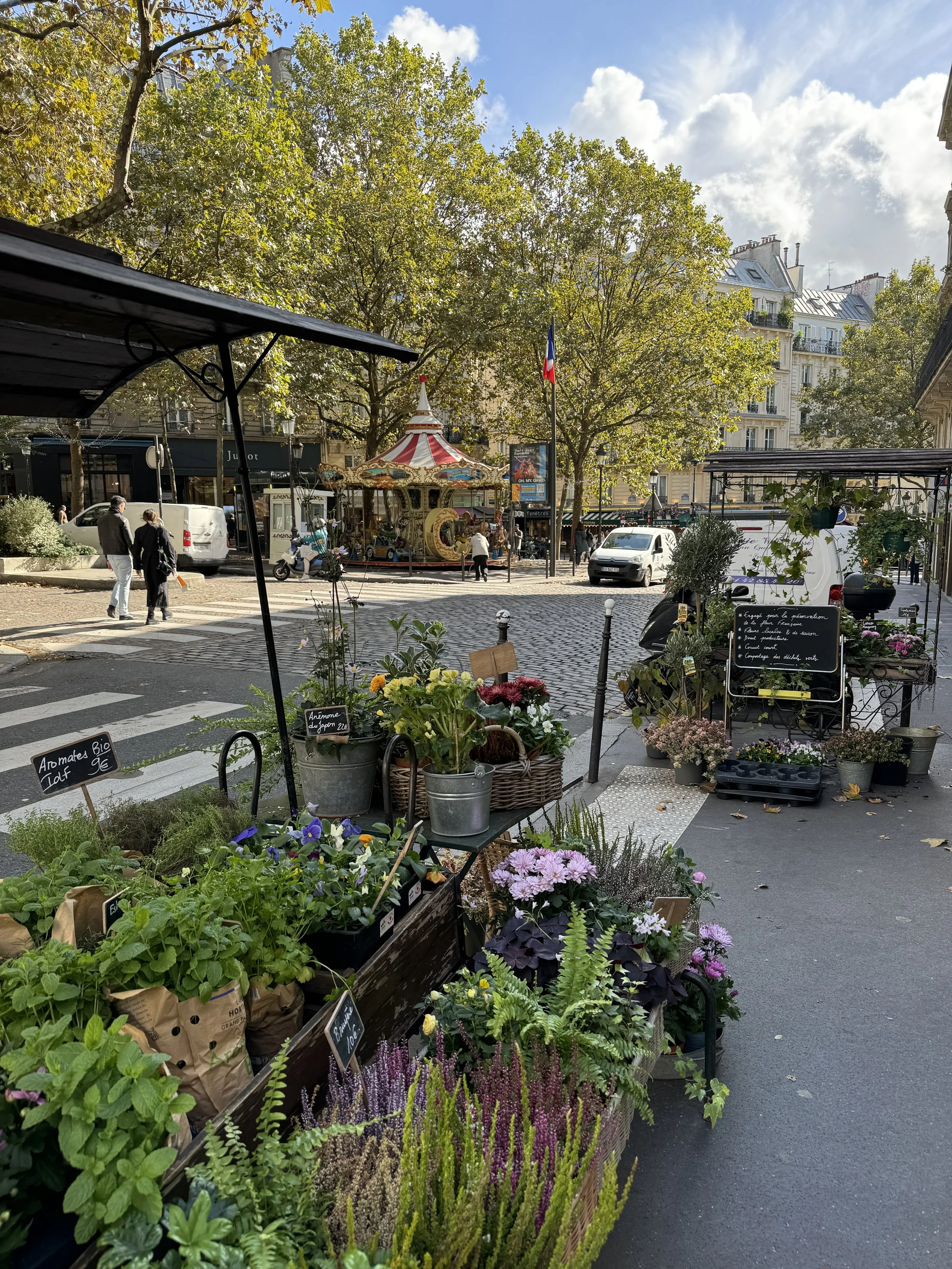City street scene featuring a flower stall with potted plants and flowers, a carousel with people and a walking couple, a French flag, and trees with scattered clouds in the sky.
