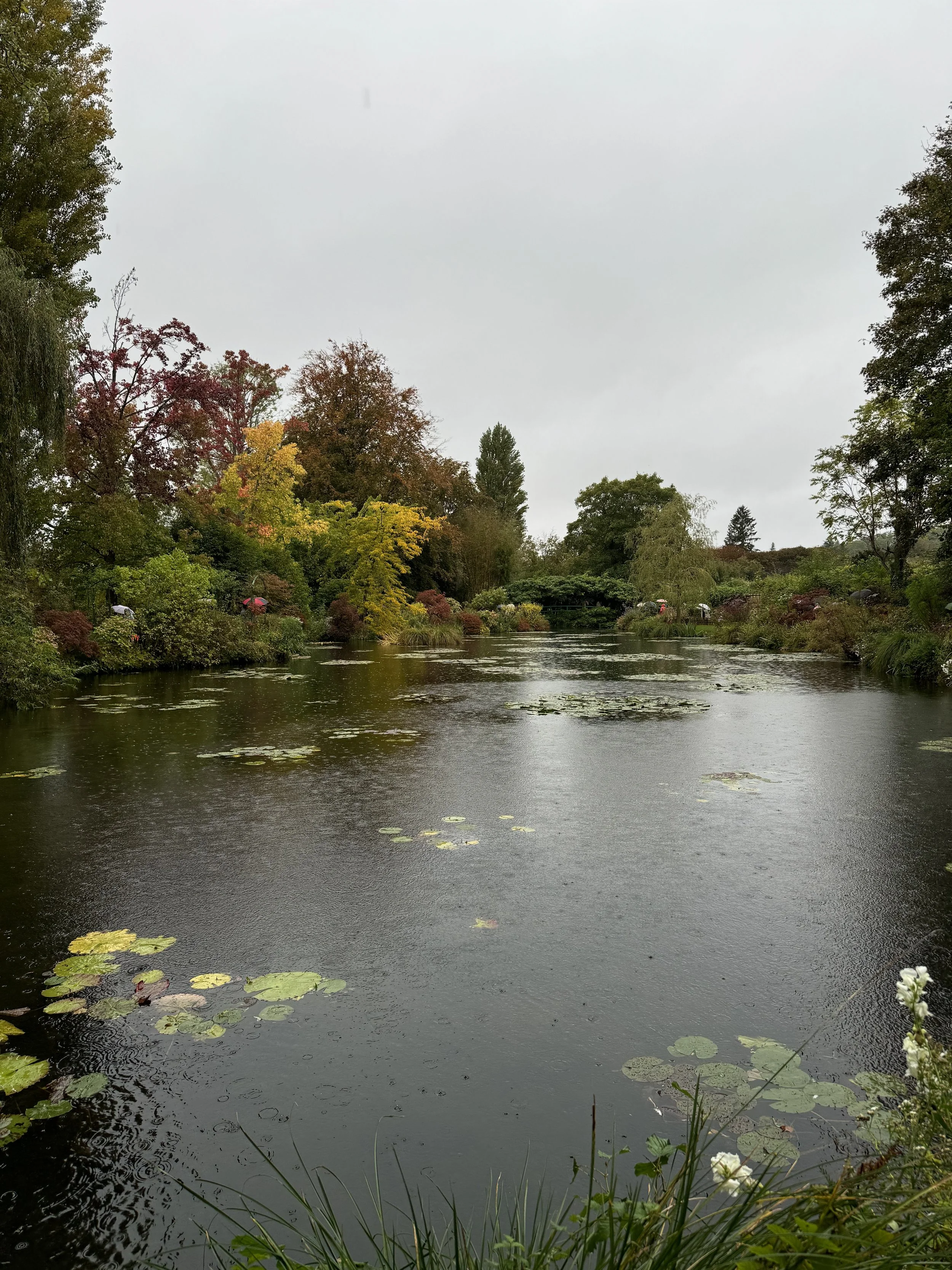 a pond with trees in background with autumn colors