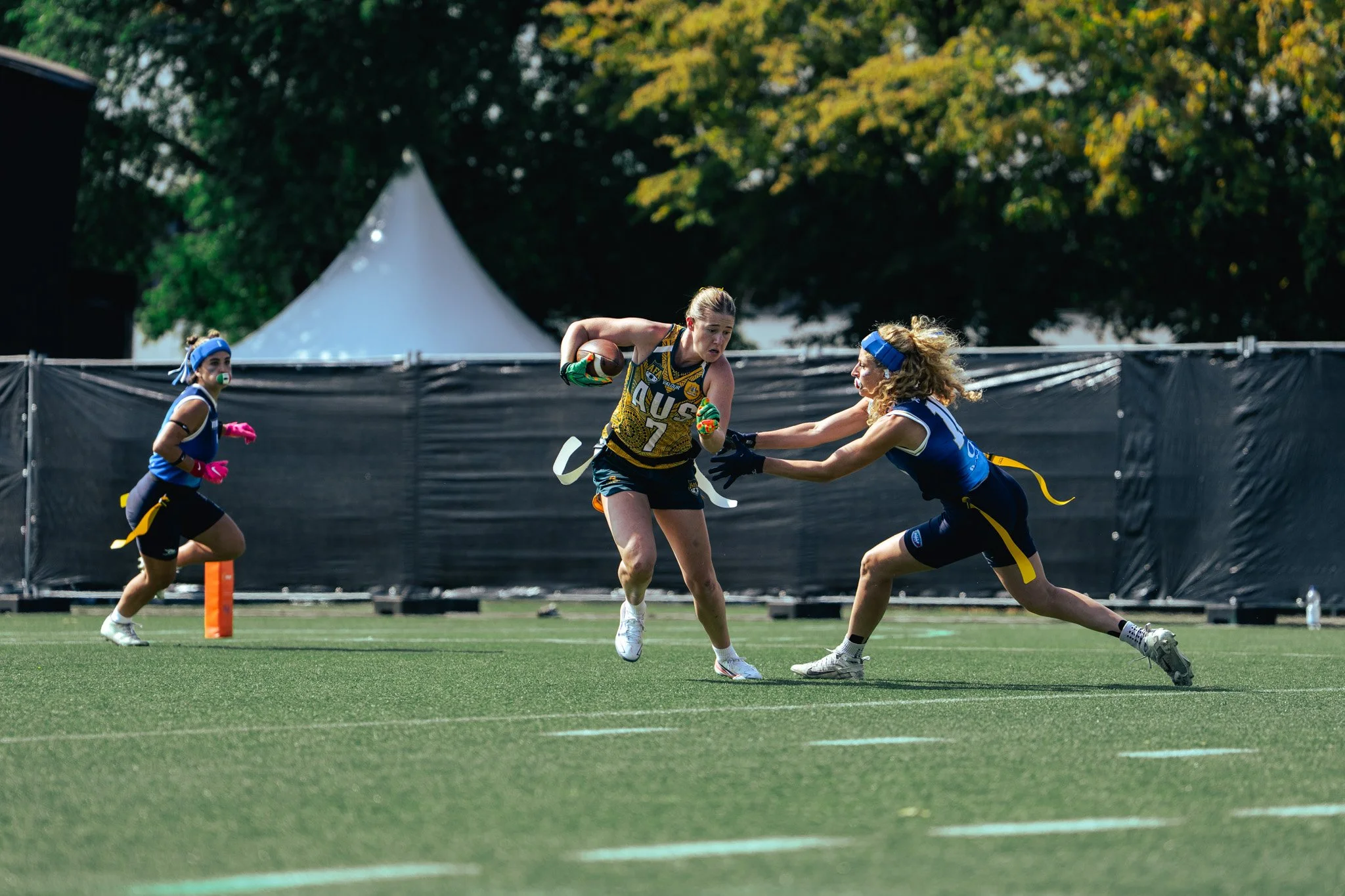 IFAF_WC_16-8-070.jpg