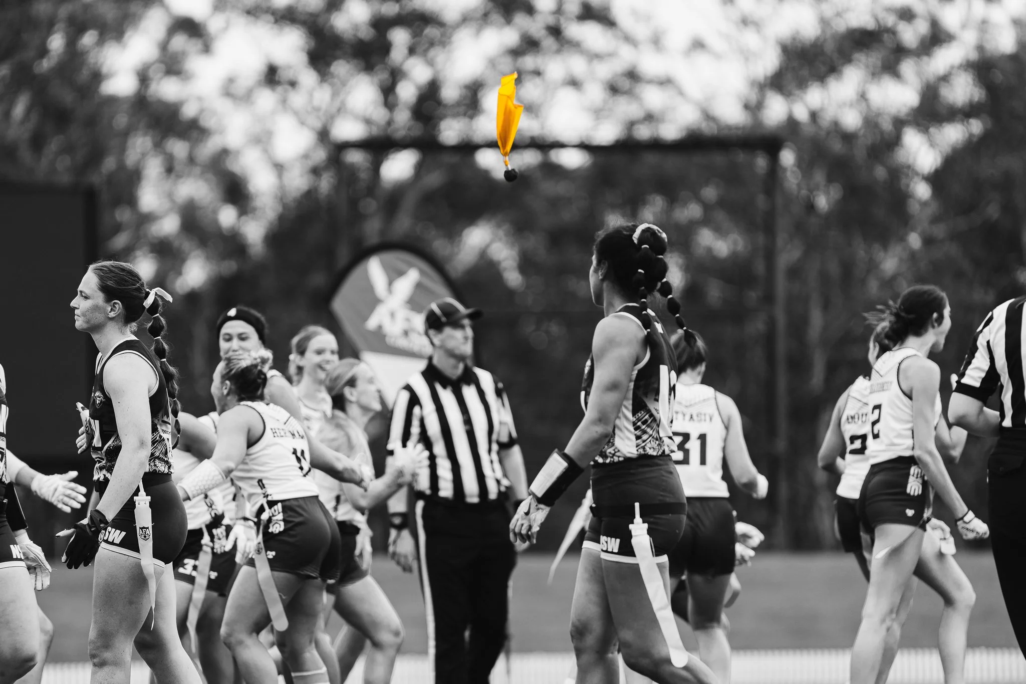 AFA_Flag_Nationals_b_ngu_photos-398.jpg