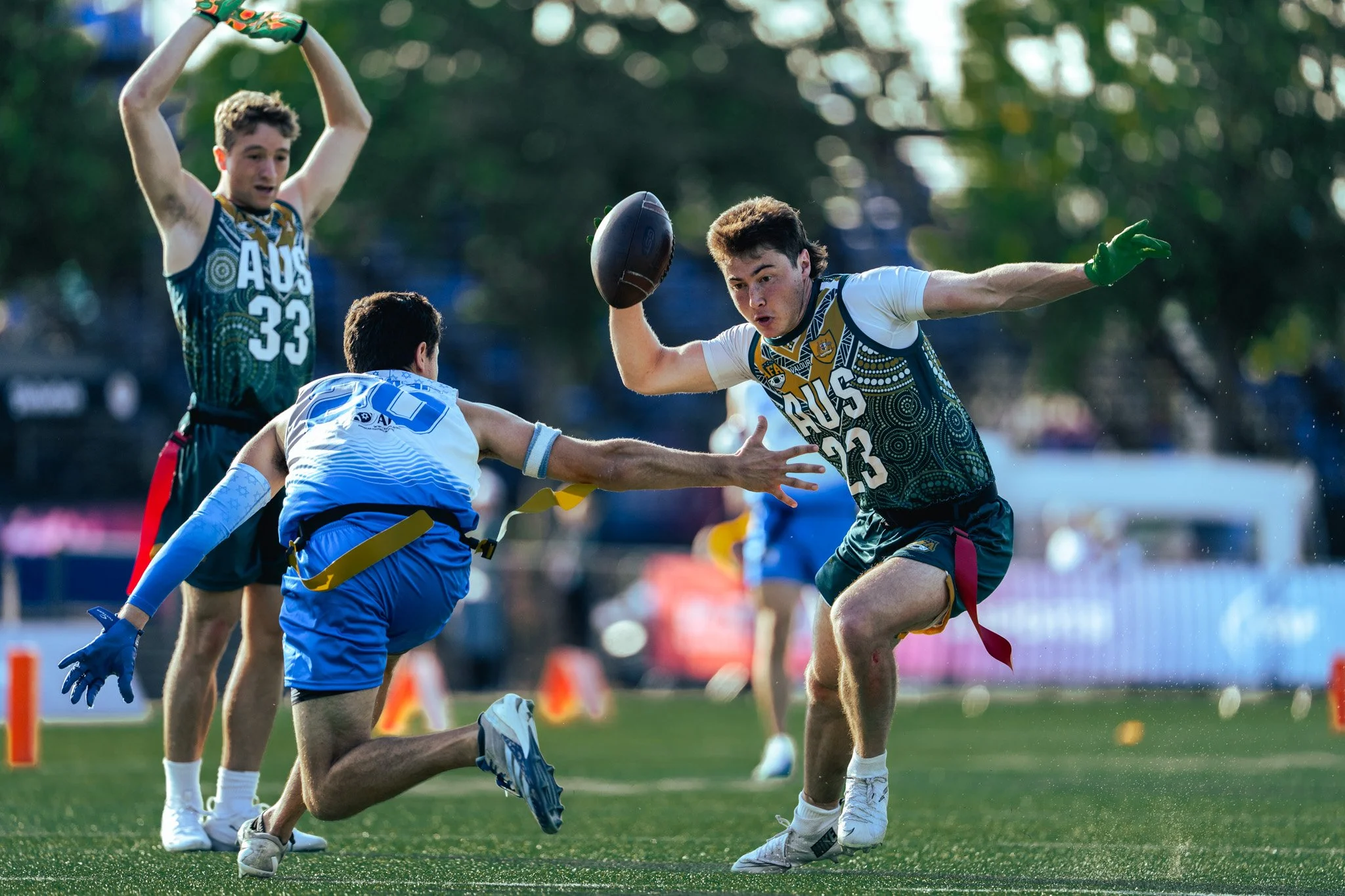 IFAF_WC_14-8-112.jpg
