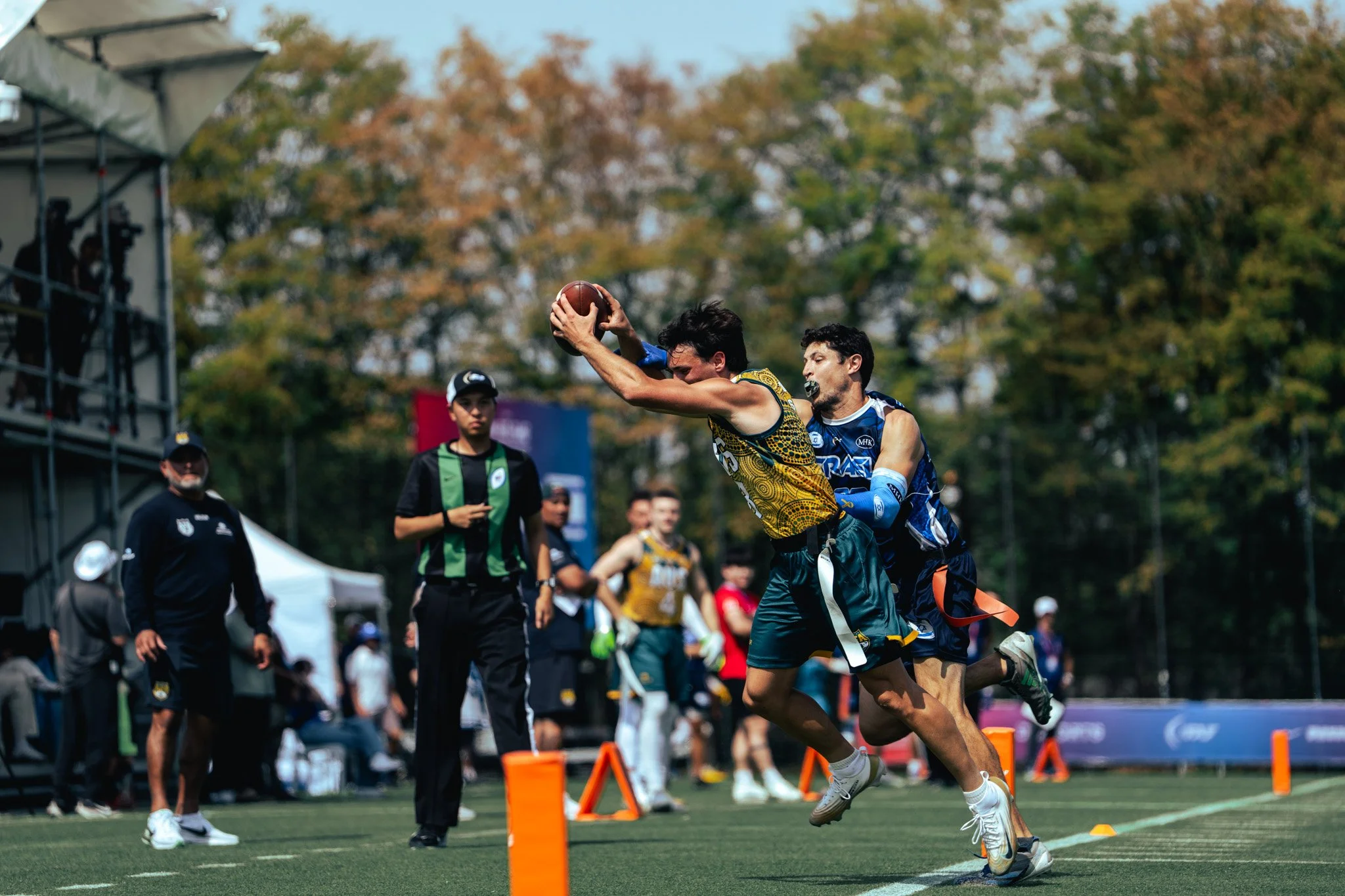 IFAF_WC_16-8-220.jpg