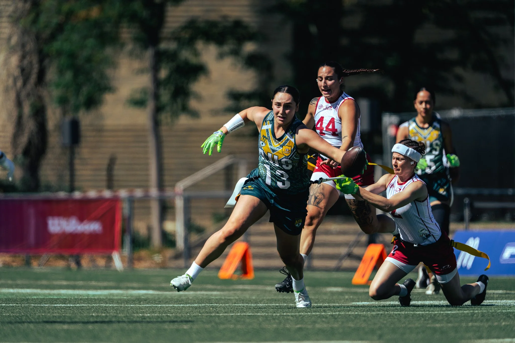 IFAF_WC_13-8-475.jpg