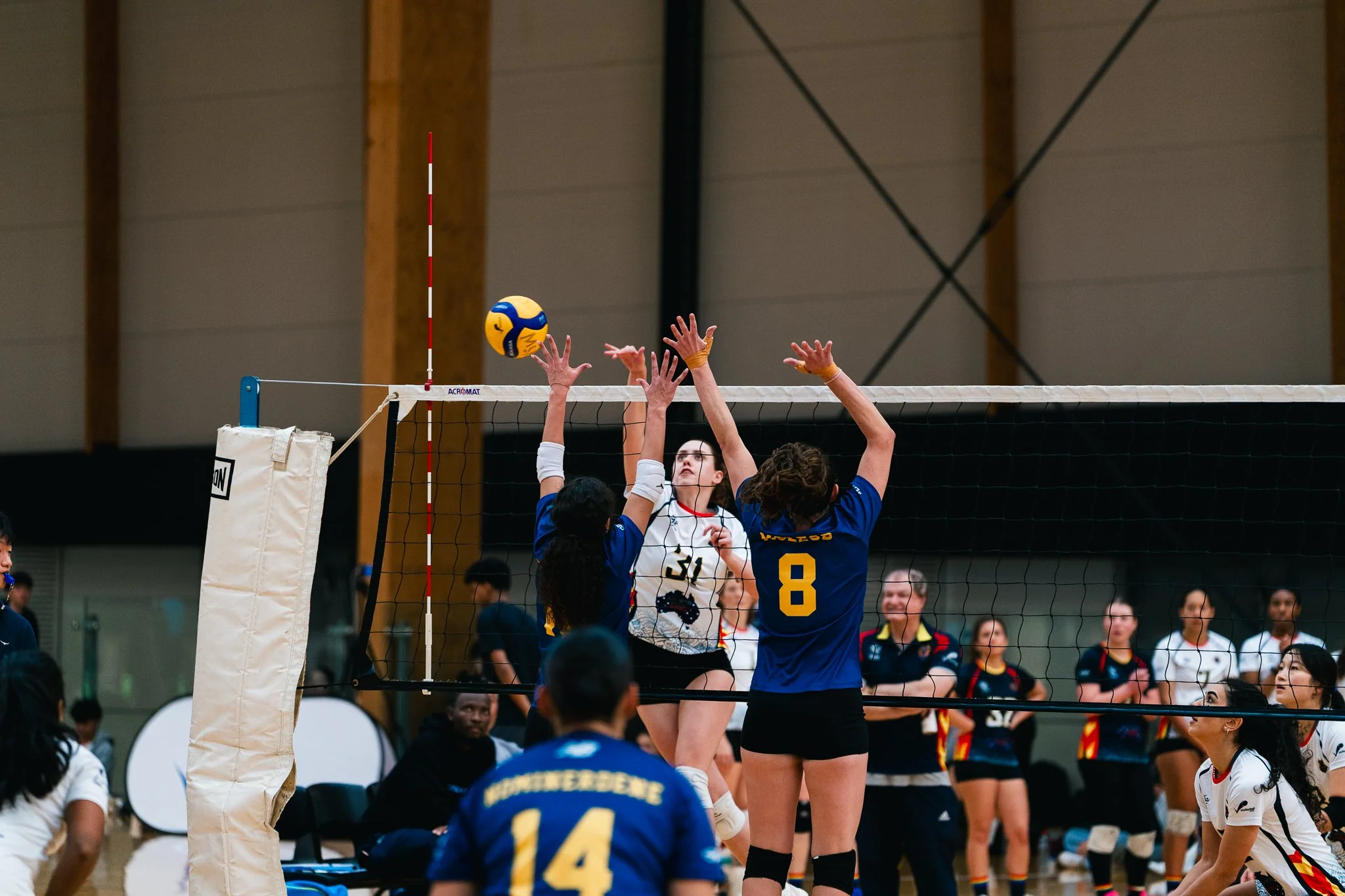 PLV R9-71.jpg