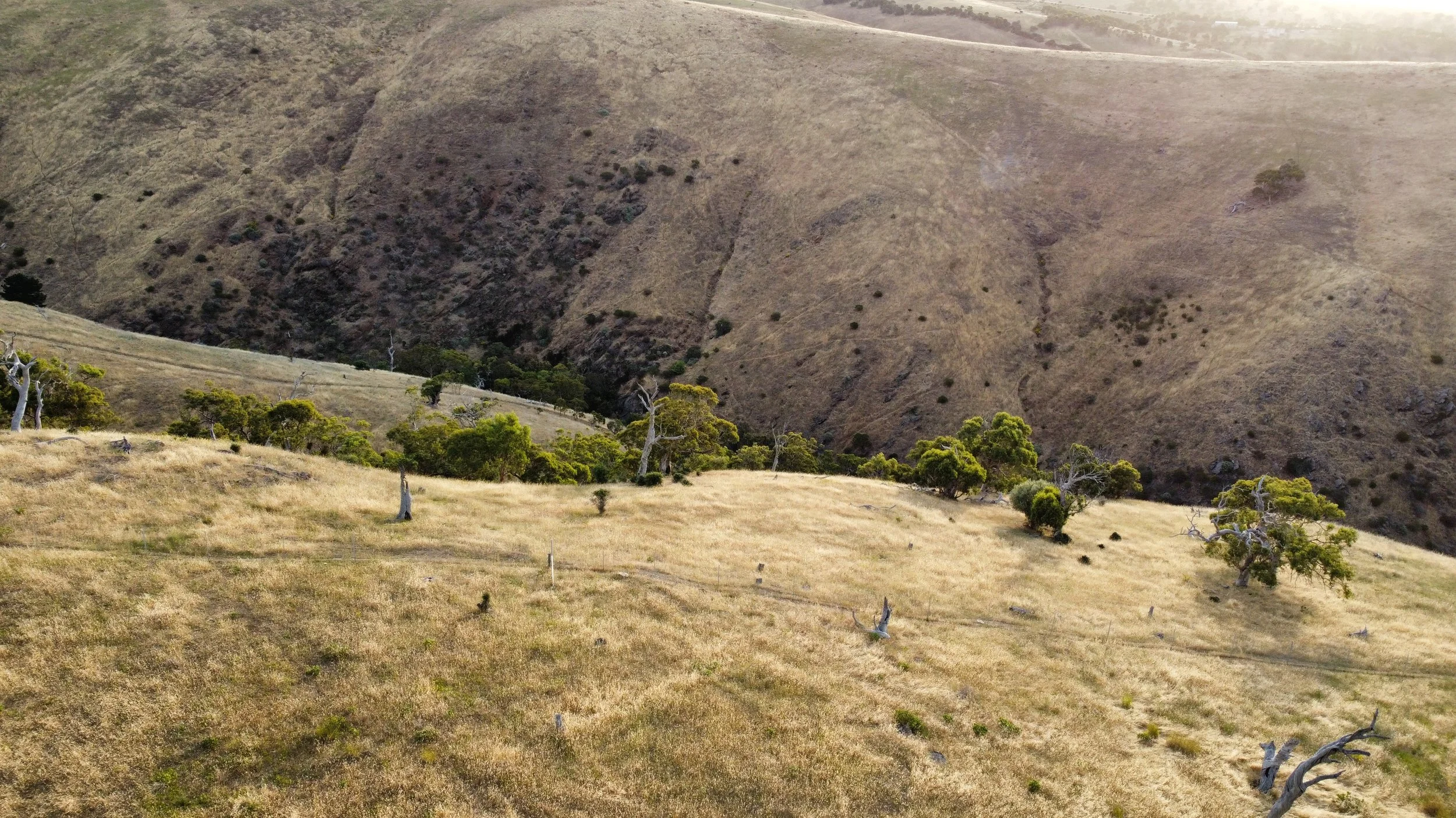 dji_fly_20251207_194210_542_1766016403227_photo_optimized 3.JPG