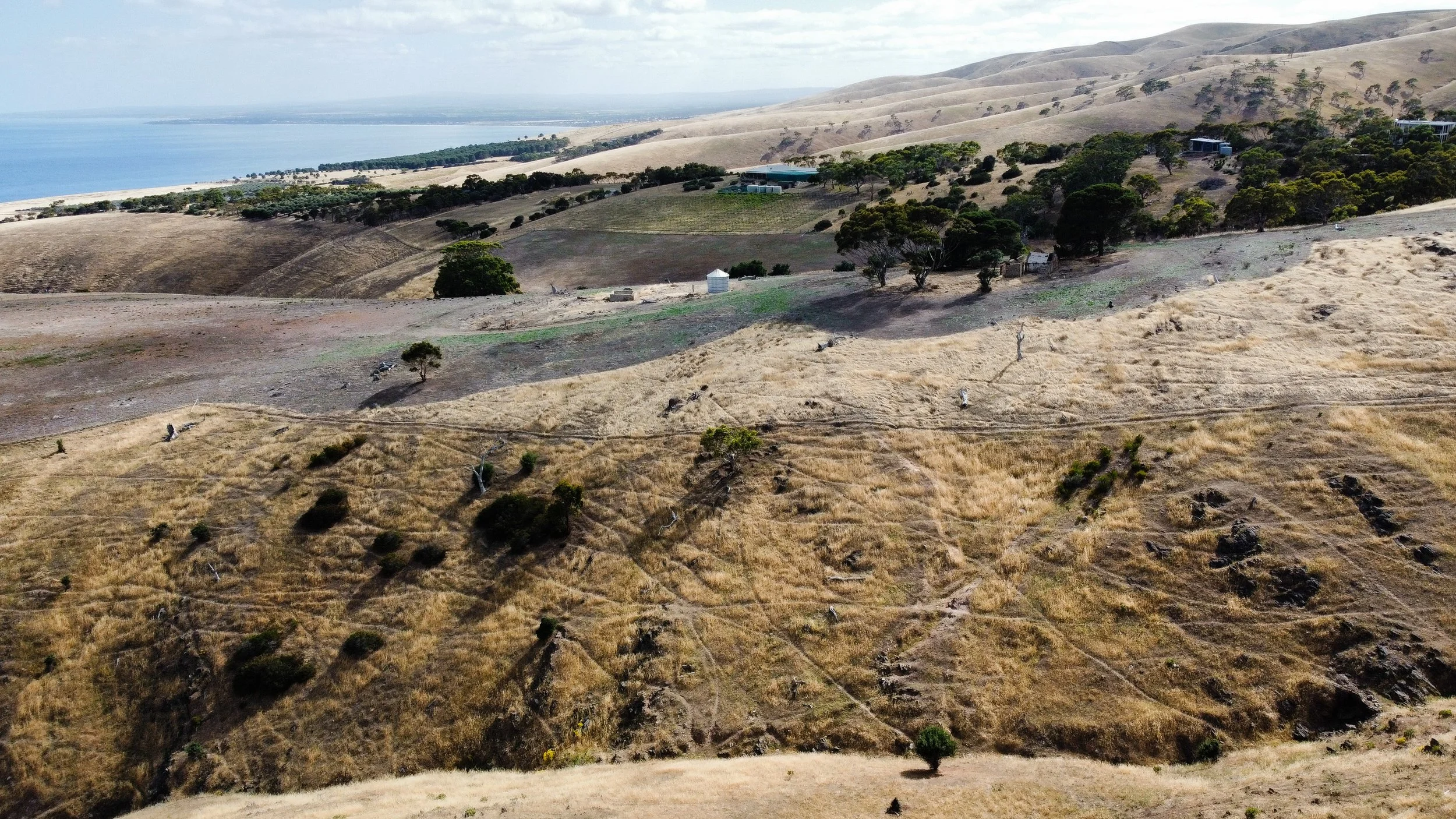 dji_fly_20251207_092658_524_1766016792115_photo_optimized 4.jpg