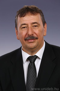 Portrait of a middle-aged man with brown hair, mustache, wearing a black suit, white shirt, and black tie, against a plain gray background.