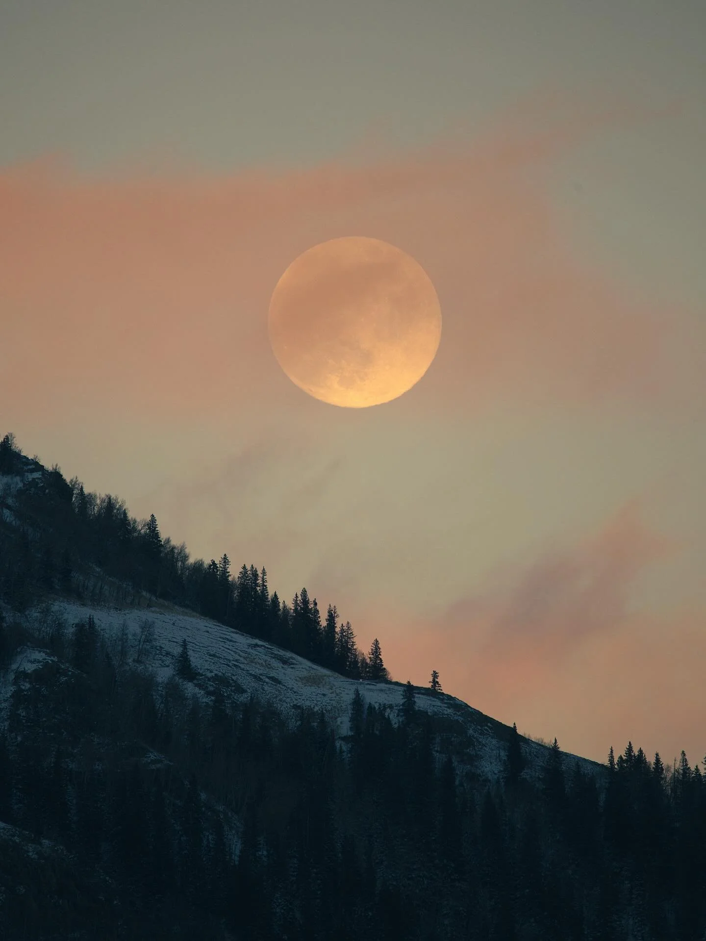 Happy Wolf Moon to all who celebrate! 🐺🌕