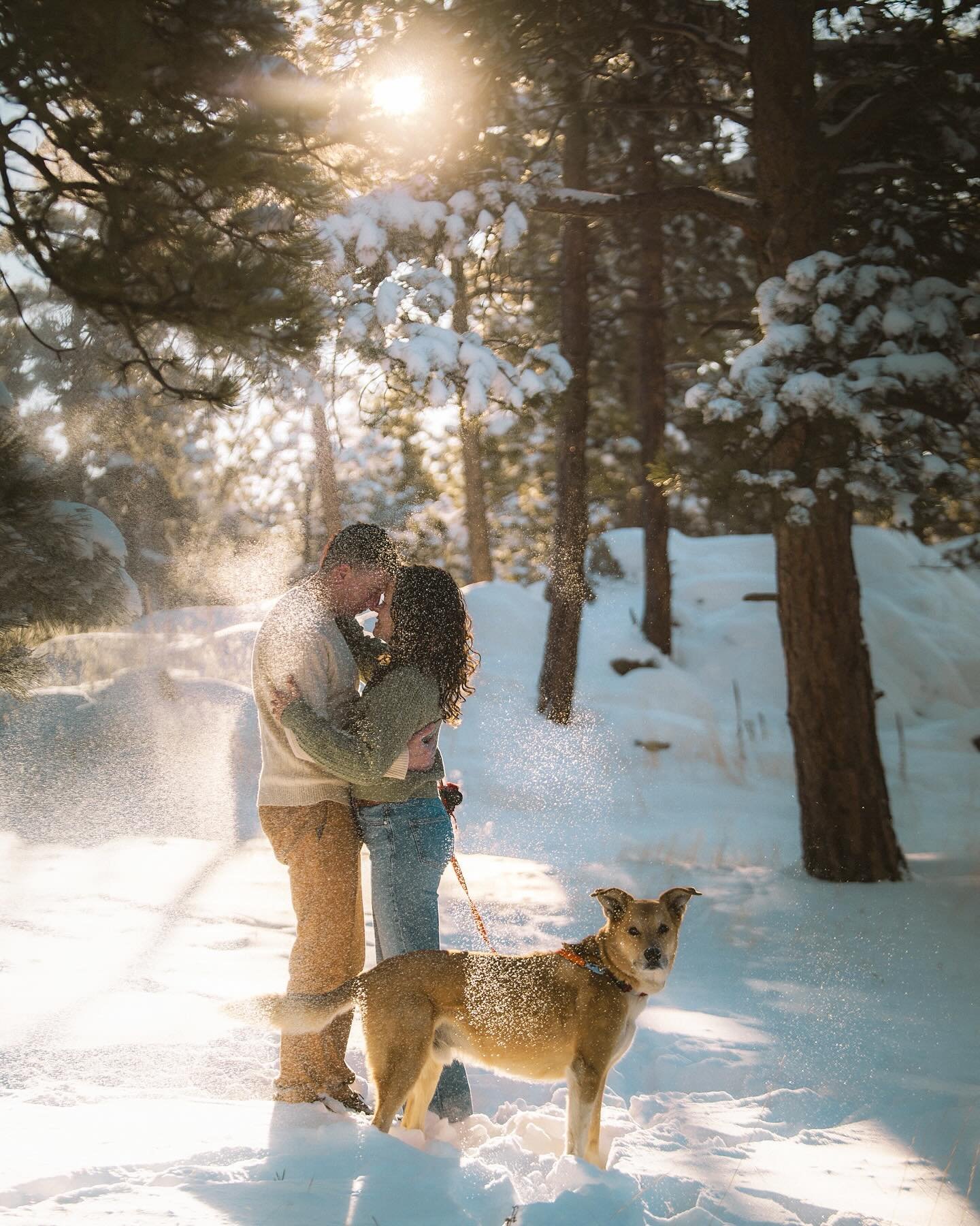 There&rsquo;s something extra special about snowy morning light ✨ Aviva &amp; Alex were SO much fun to shoot and the way the light was hitting the fresh snow had me losing my mind a little. So grateful I get to do what I do and capture love like this