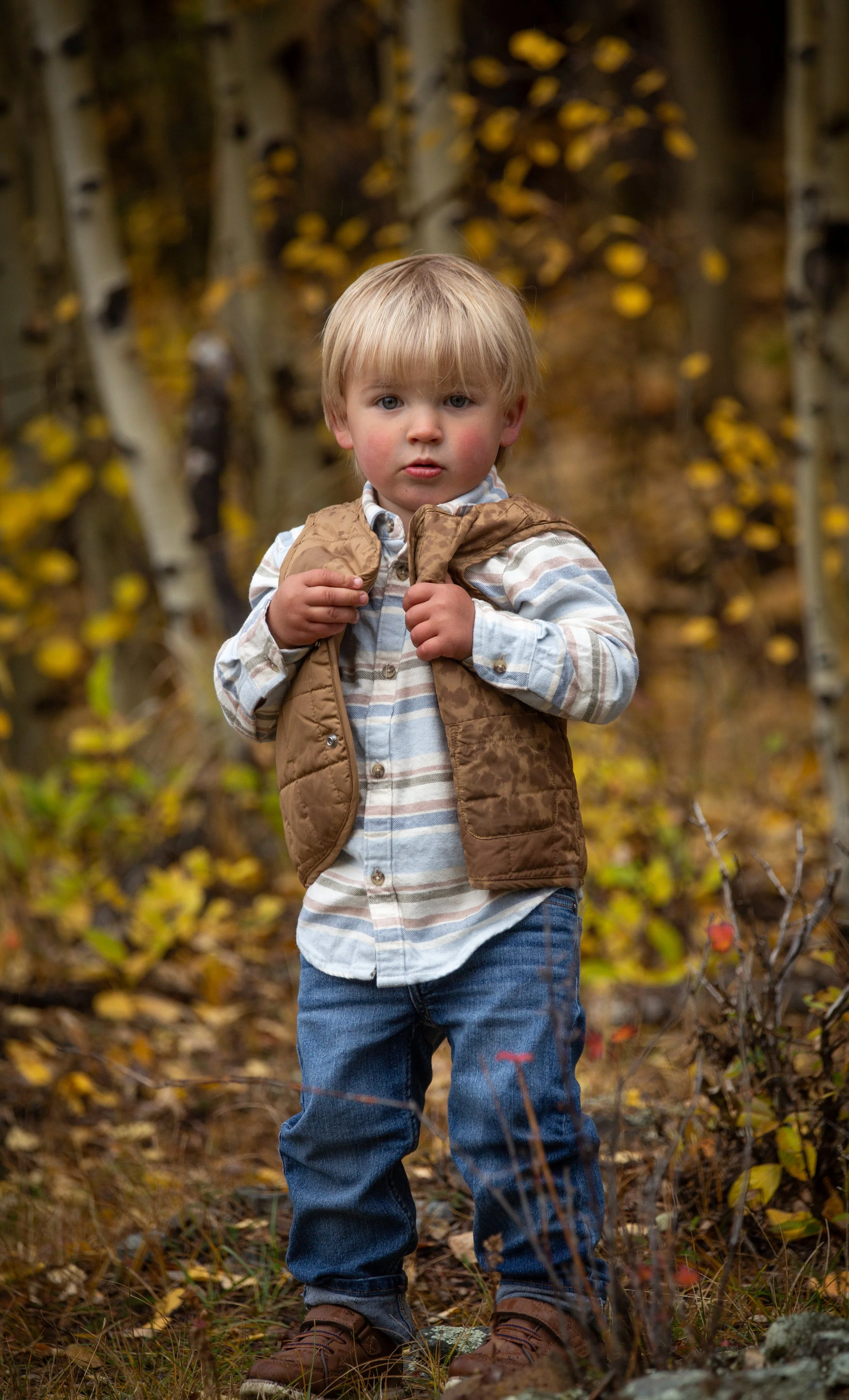 A young boy with blonde hair and blue eyes in an autumn forest, wearing jeans, a light striped shirt, and a puffy vest, looking directly at the camera.
