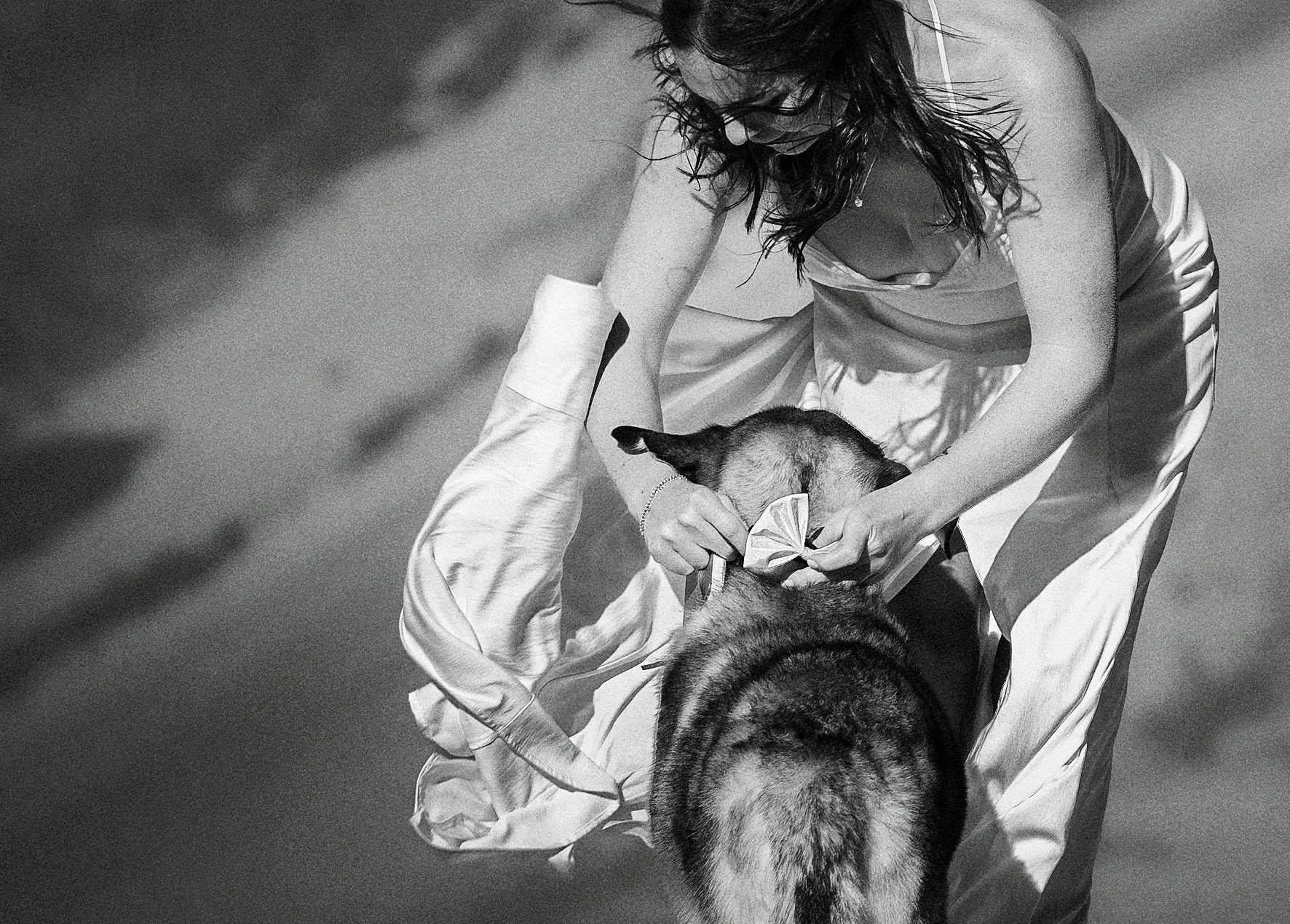 A bride kneeling and leaning over her dog, placing a bow on the dog's collar. The woman has dark, wavy hair and is wearing a white satin dress. The scene takes place on Corkscrew Pass in the San Juan Mountains of Silverton, Colorado.
