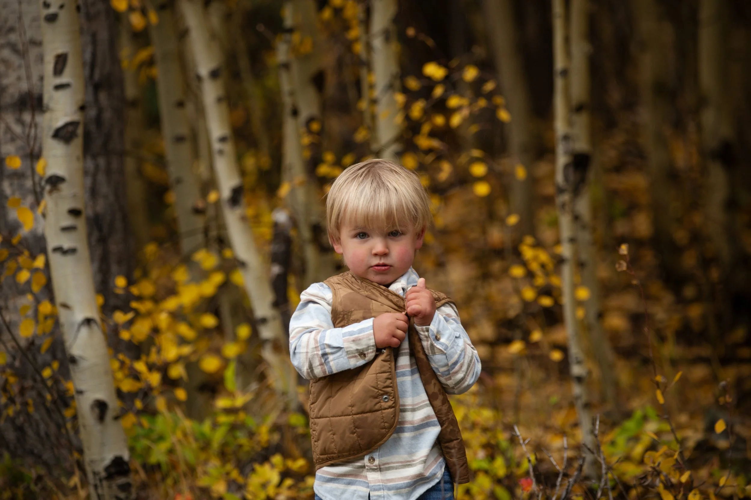 A young boy with blonde hair, wearing a plaid shirt and brown vest, standing in a forest with autumn leaves on the ground and in the trees.