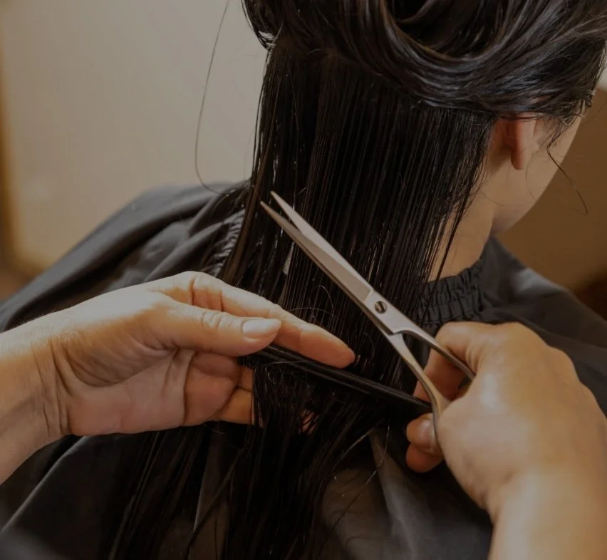 Hair Structure Design Lab 1