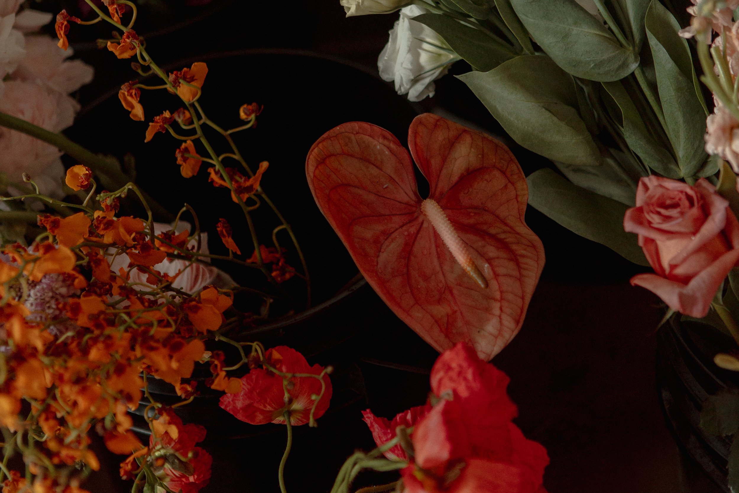 A collection of various colorful flowers, including orange, pink, and red blooms, with notable pink anthurium flower in the center.