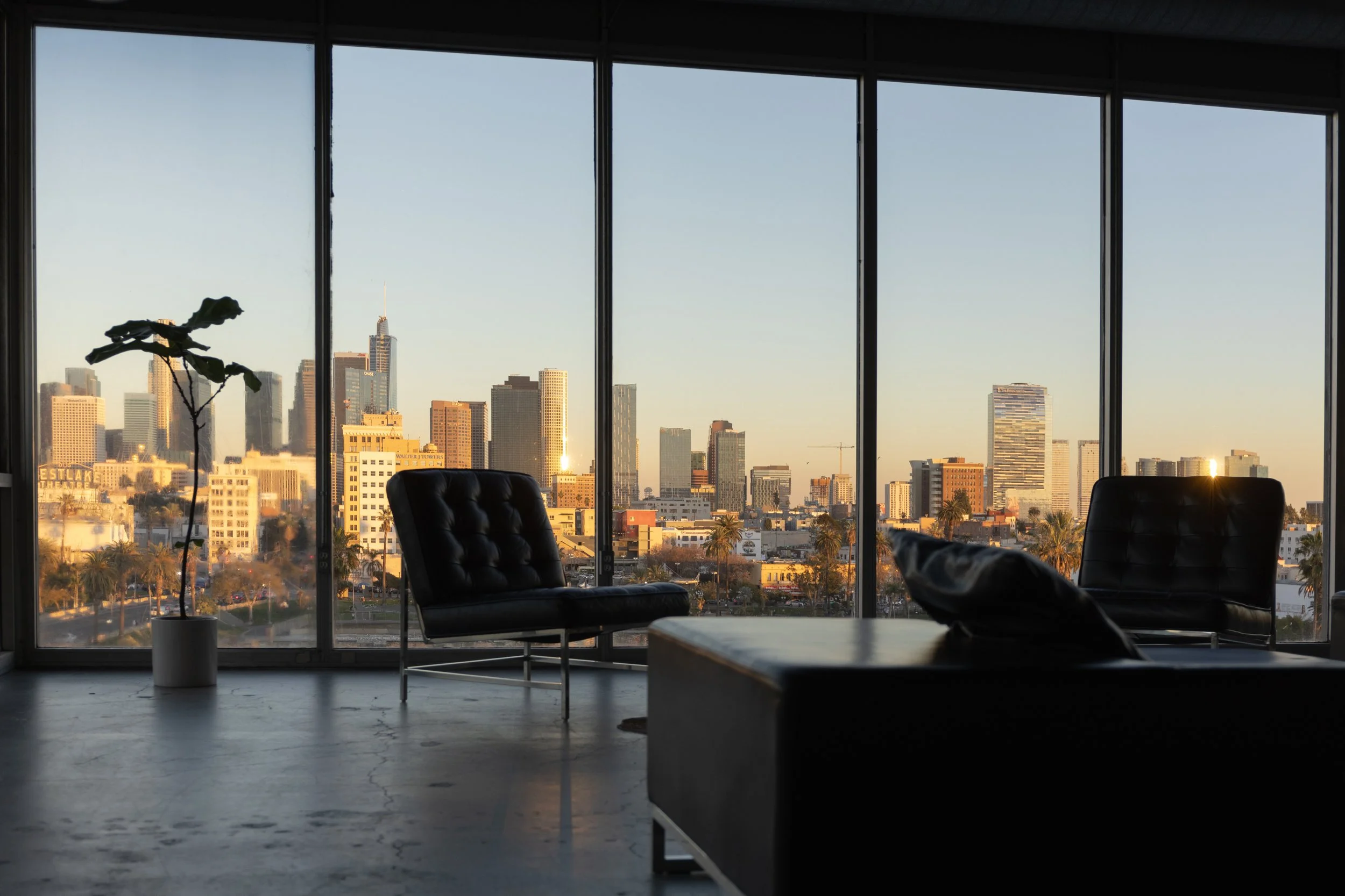 Interior of an office with large floor-to-ceiling windows showing a city skyline at sunset, with two black modern chairs, and a small potted plant in the foreground.
