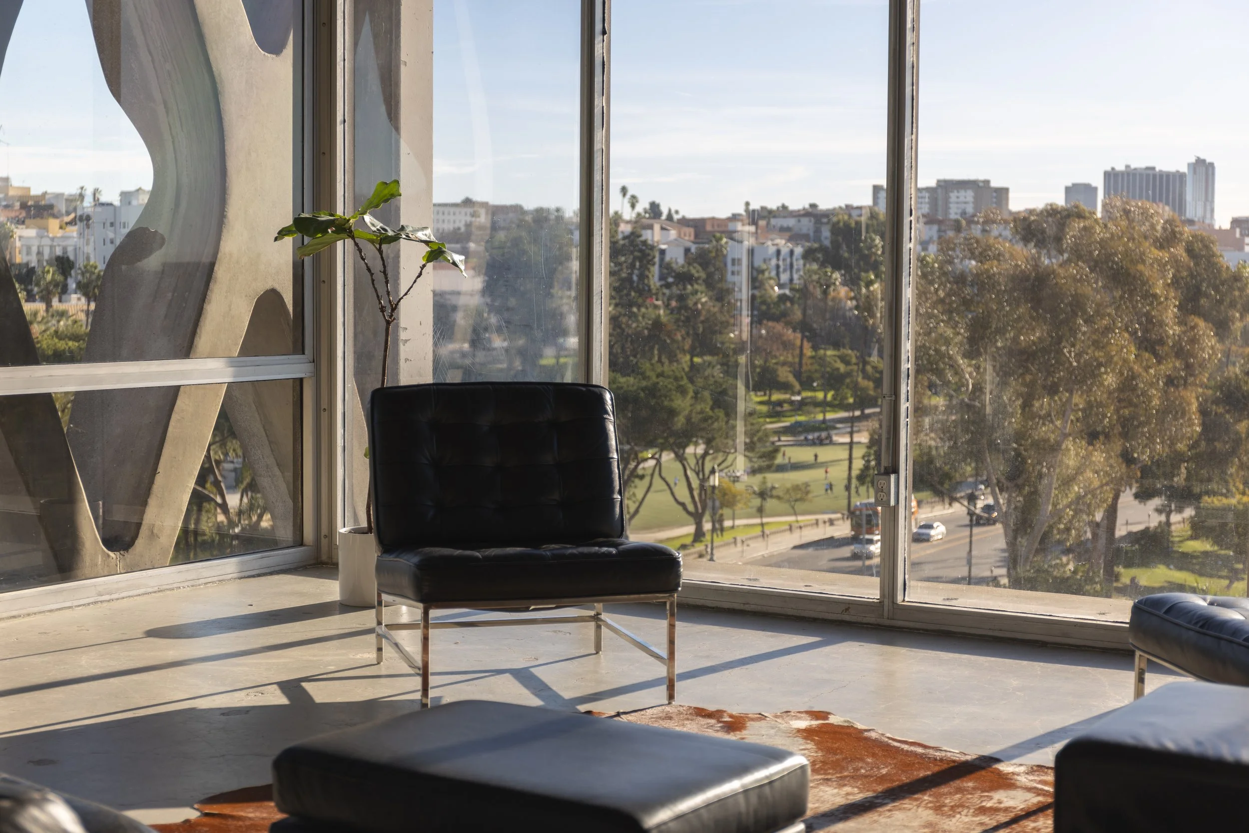 Interior of a room with large floor-to-ceiling windows showing an urban park scene outside. The room has black leather chairs and a small potted plant, with sunlight casting shadows through the windows.