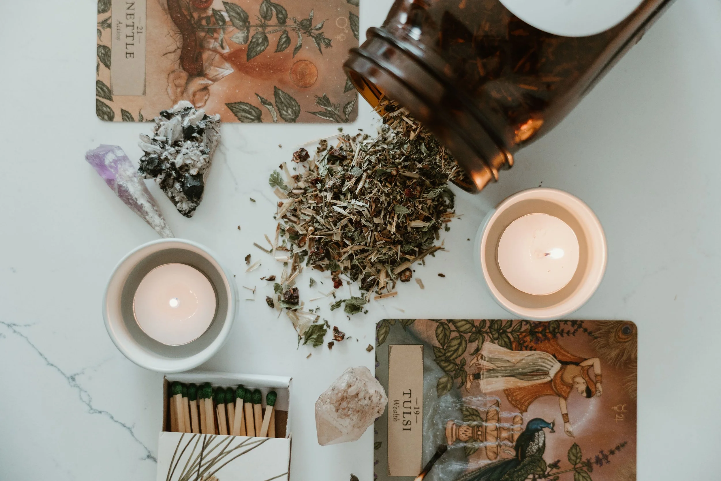 nettle&root-103.jpg