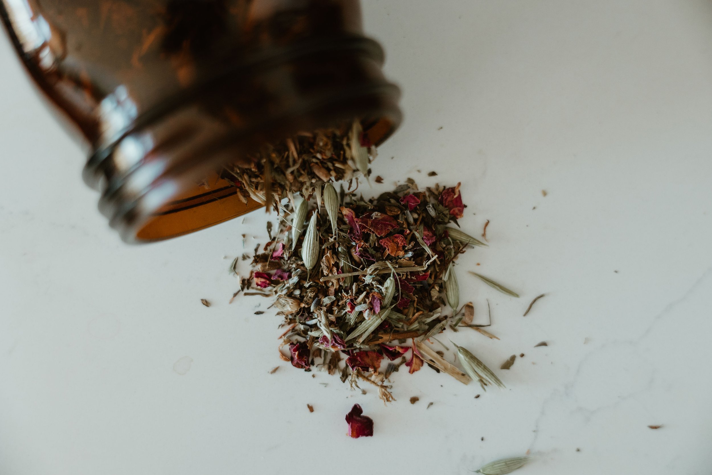 nettle&root-021.jpg