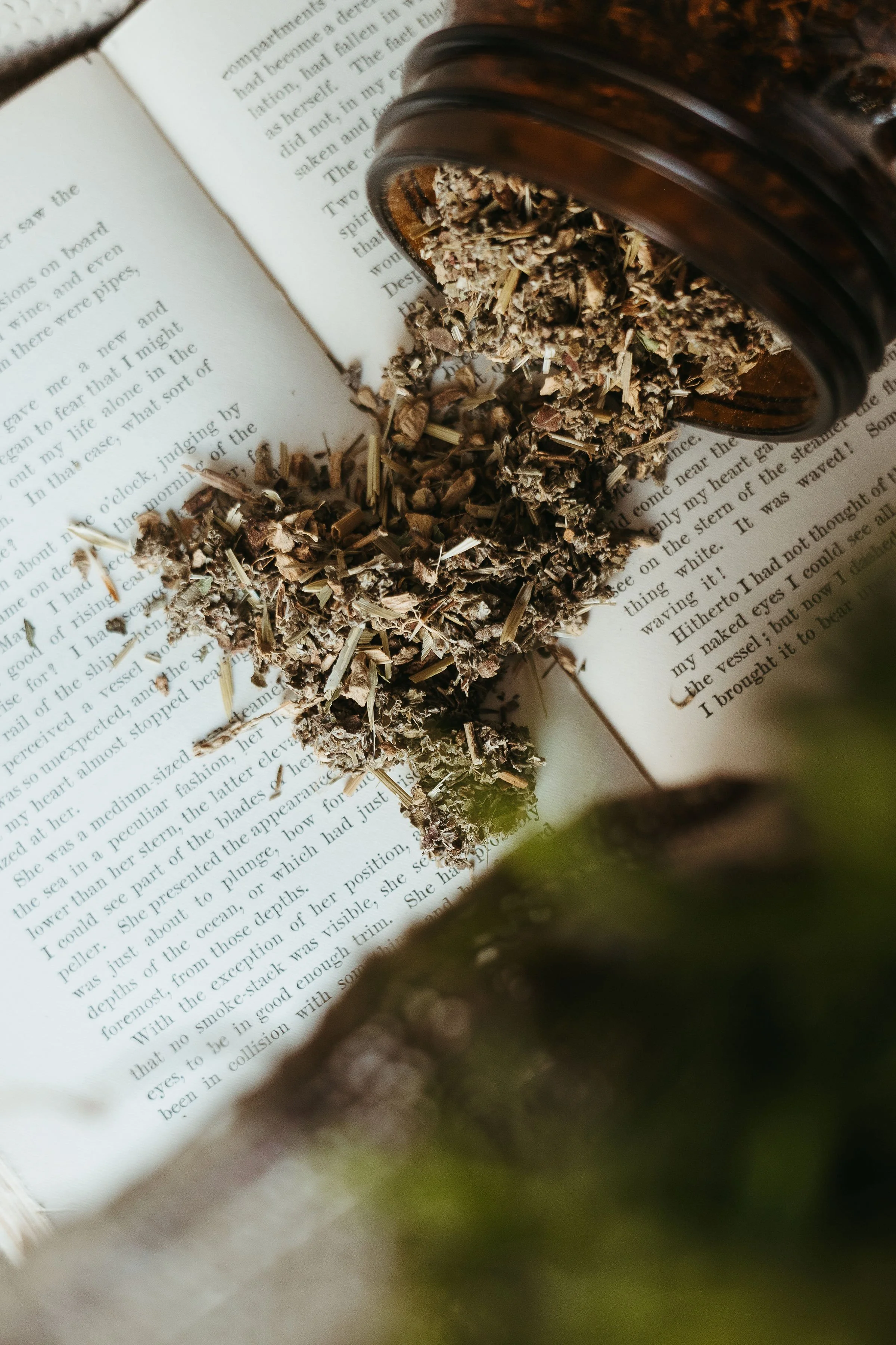 nettle&root-035.jpg