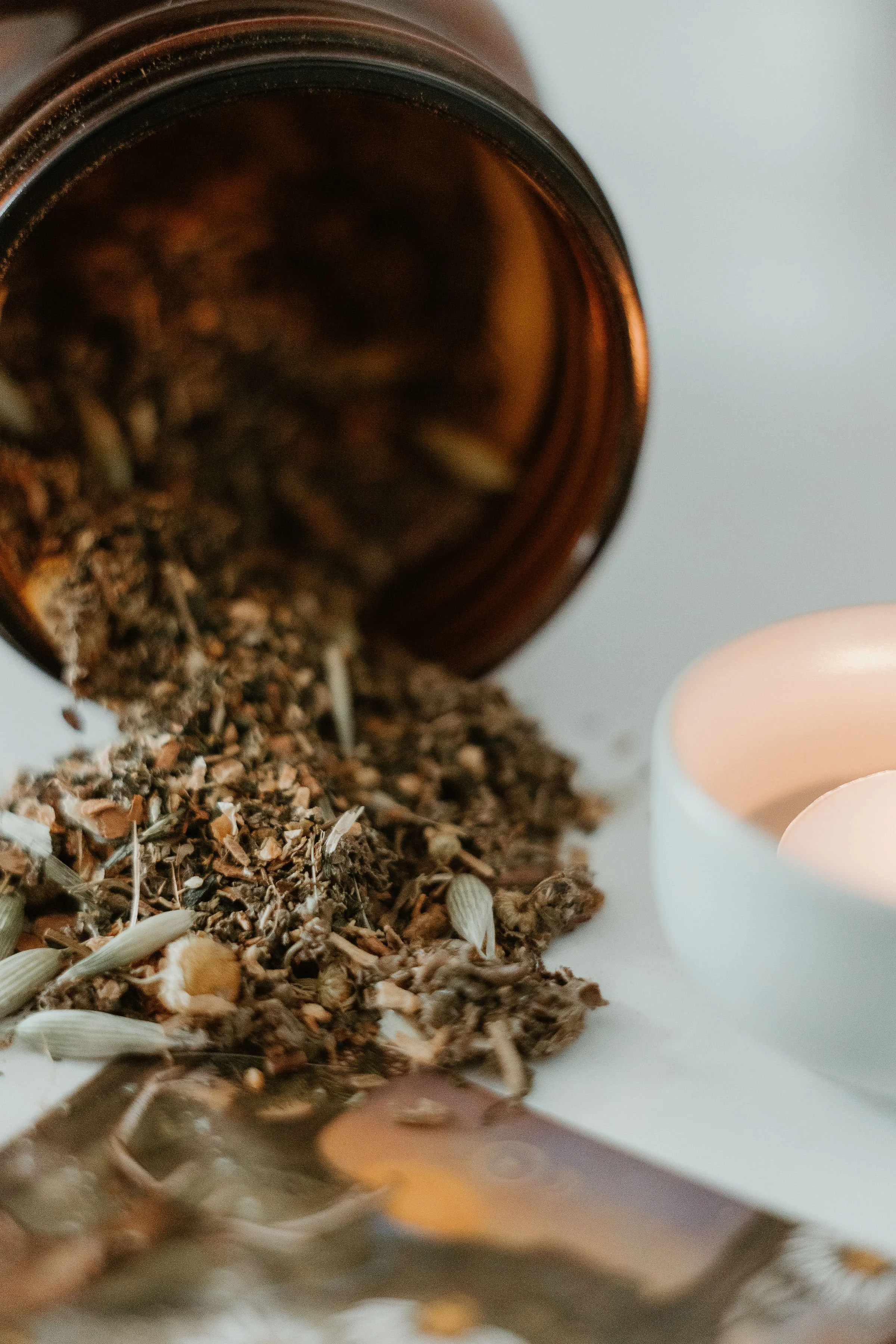 nettle&root-101.jpg