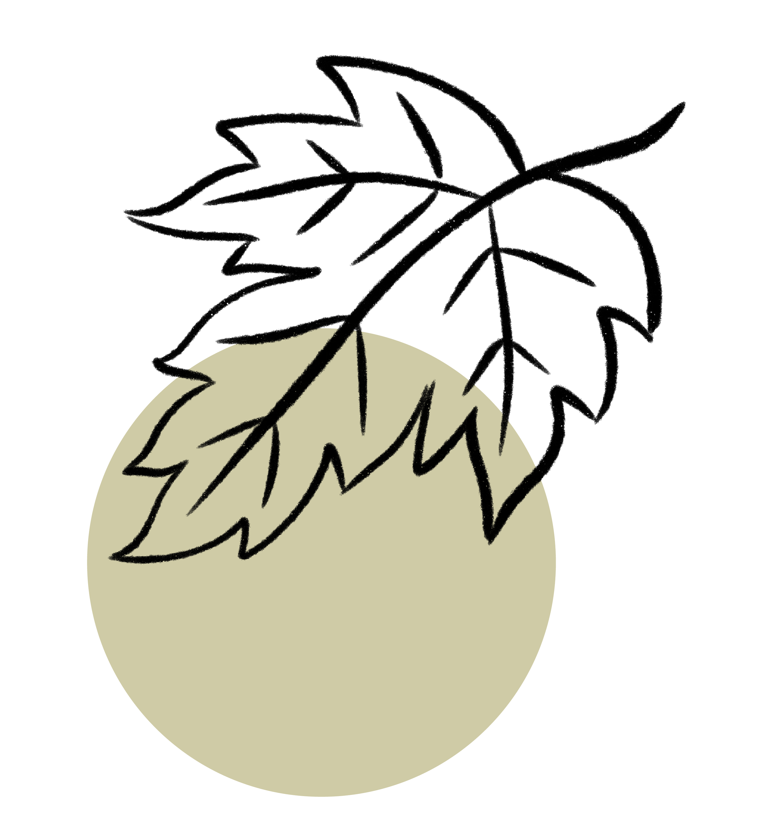 Outline drawing of a large leaf overlapping a gold-colored circle background.