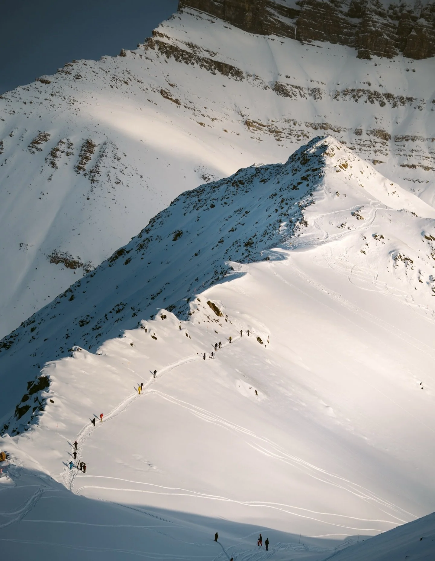 Doesn&rsquo;t get much better than these endless Rocky Mountain views, fresh tracks and morning light✨
Another unreal days of new terrain opening this week at @skilouise 🏔️
