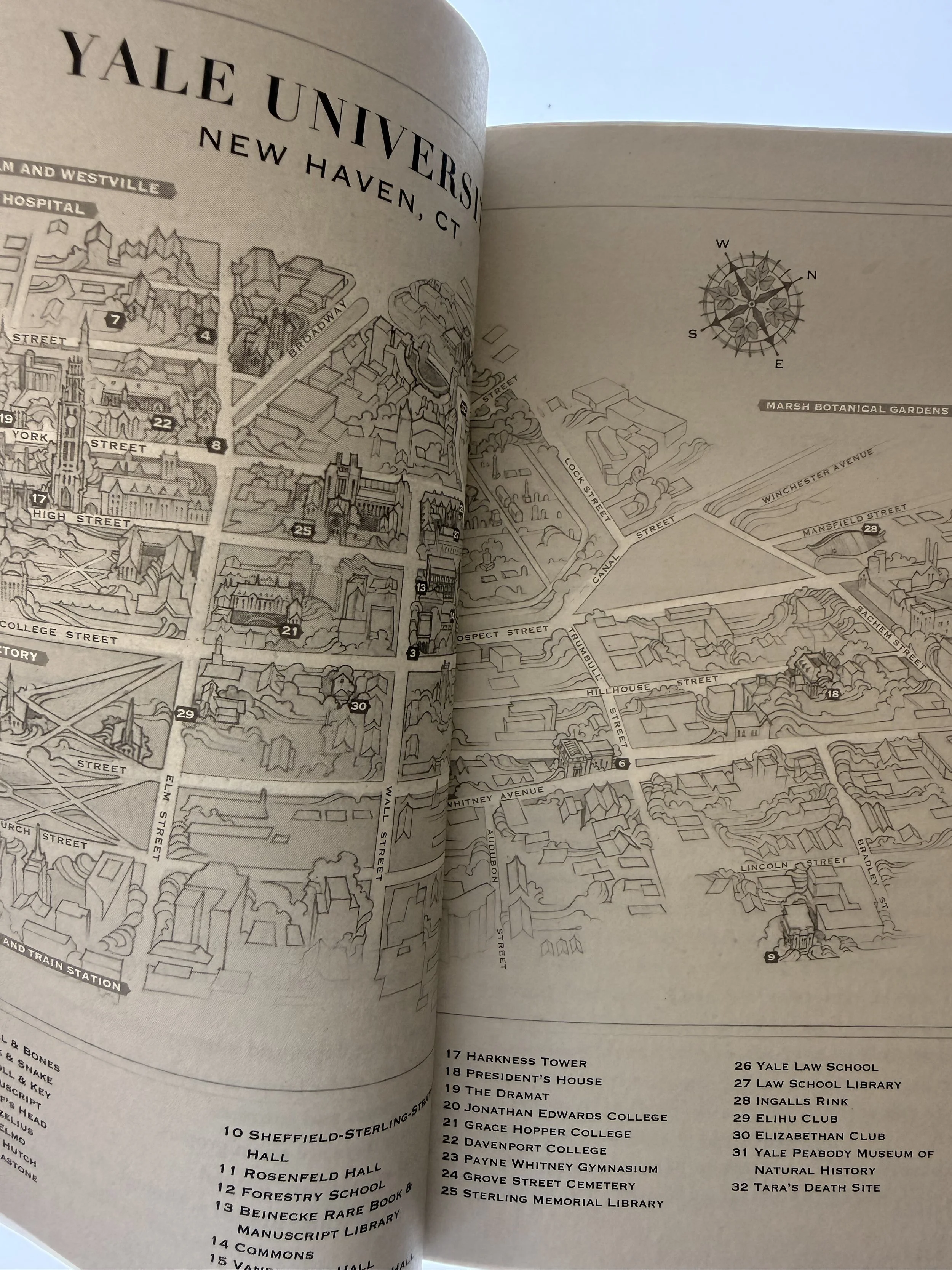 IMG_0119.jpeg