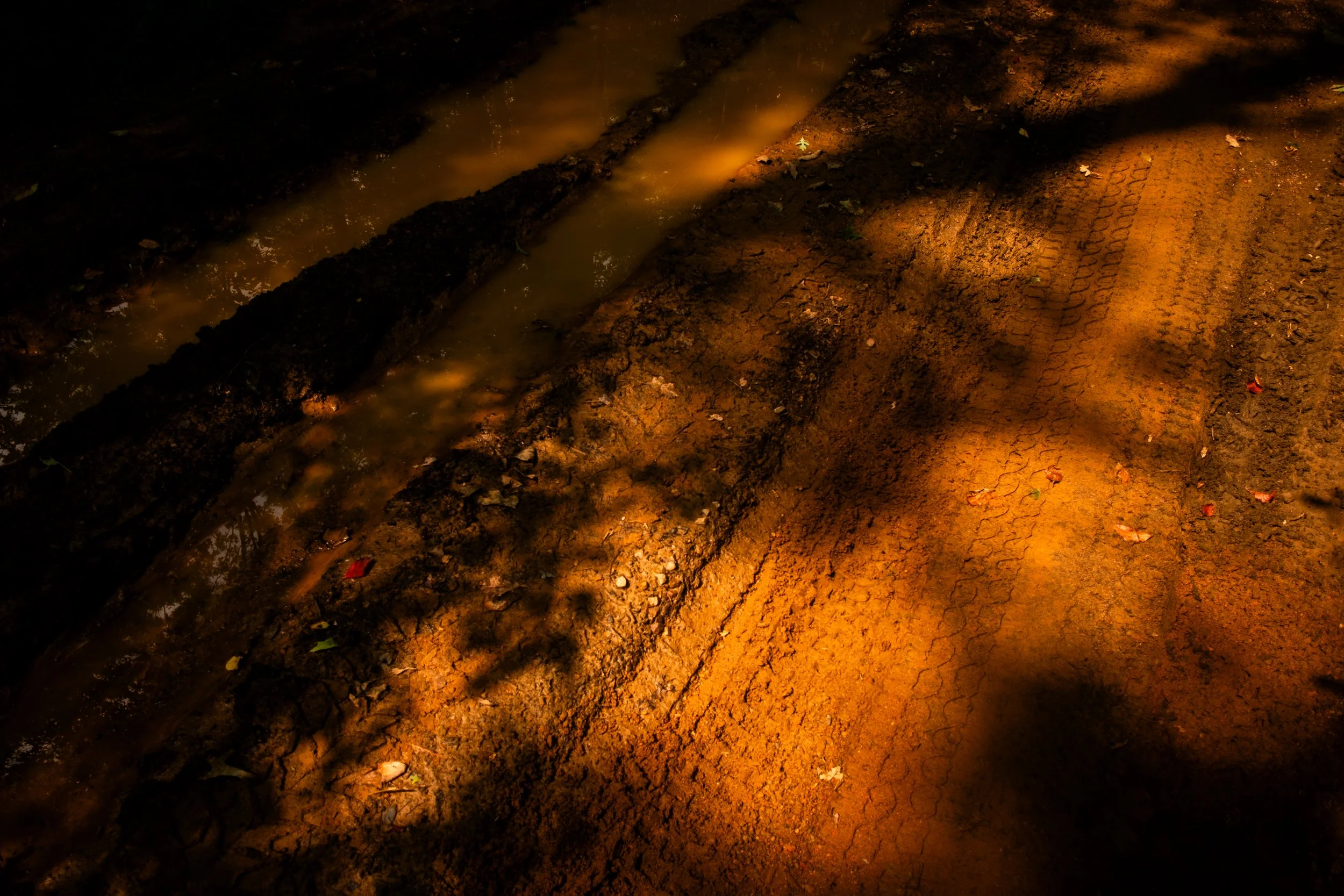 Dirt road or pathway illuminated by warm orange light with tire tracks, mud, and small leaves, shadows cast across the surface.