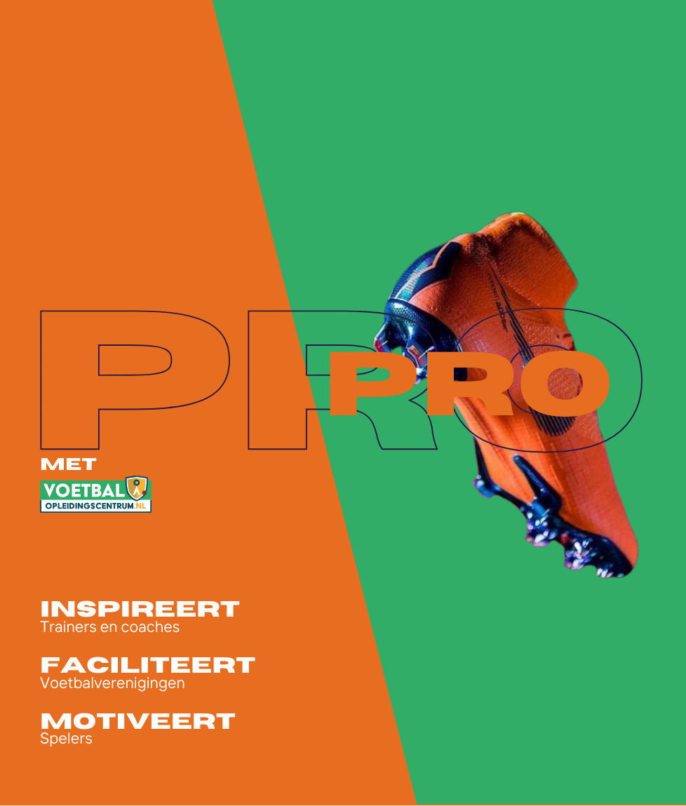 Niveauverschillen binnen de groep.