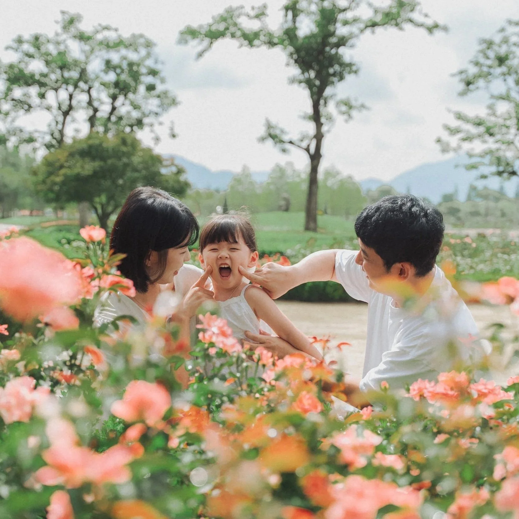 [야외] 들판 & 숲