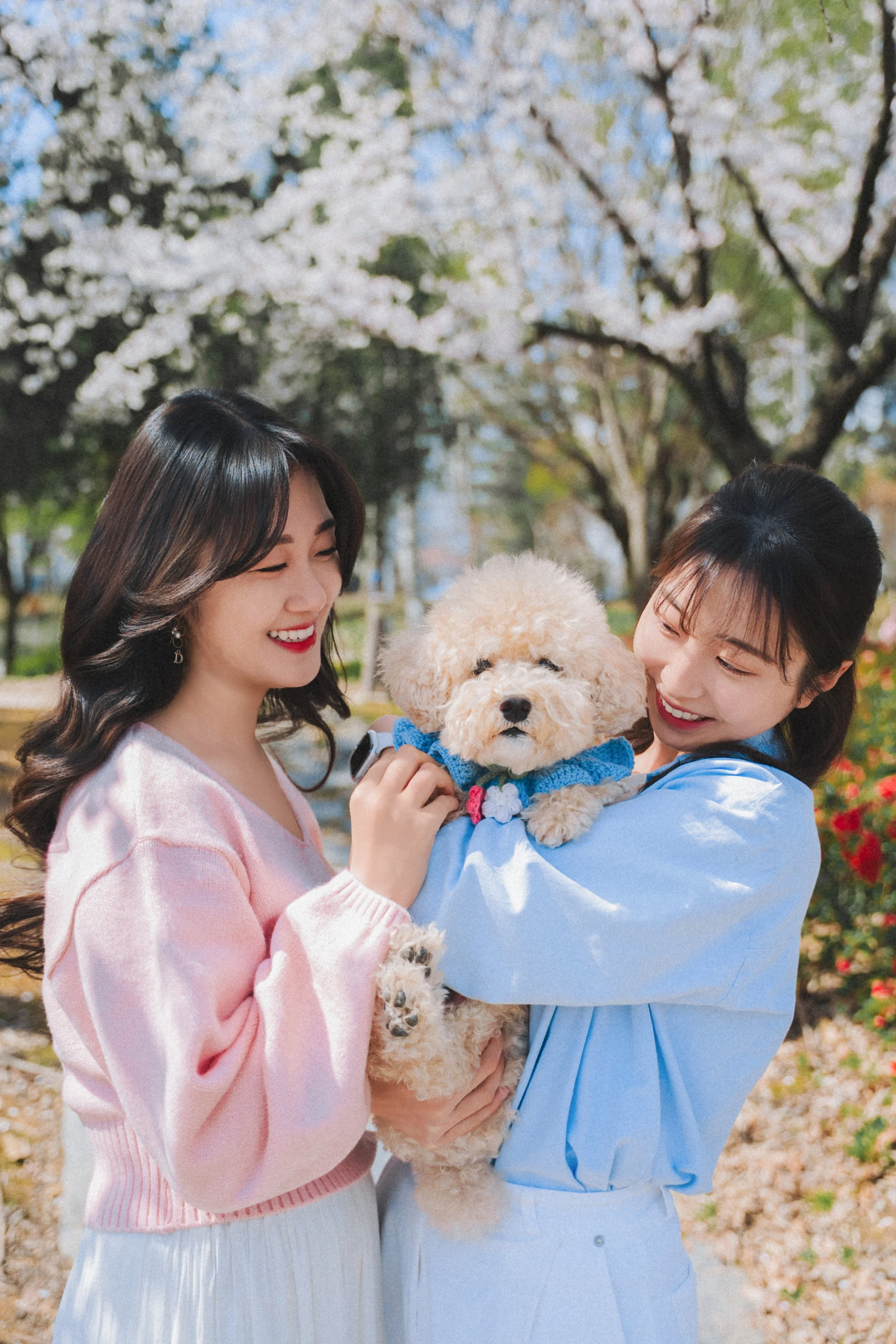 반려견 가족스냅