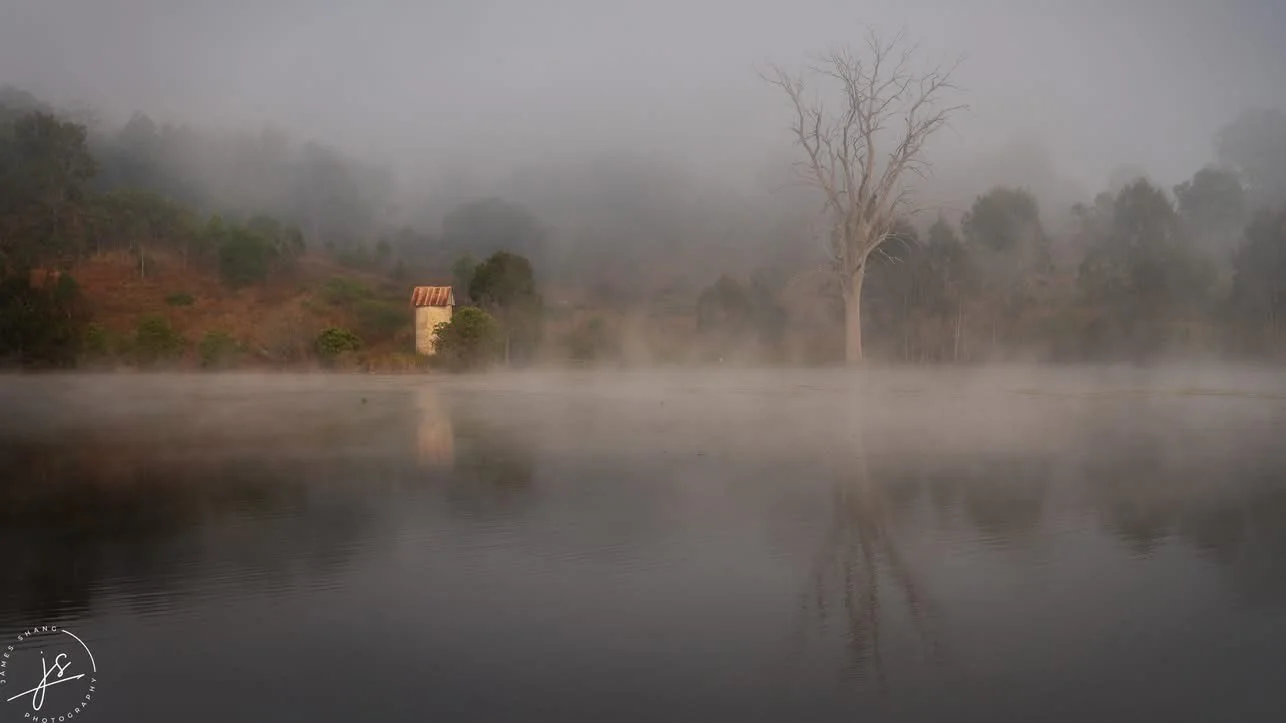 Foggy morning Wyralong Dam