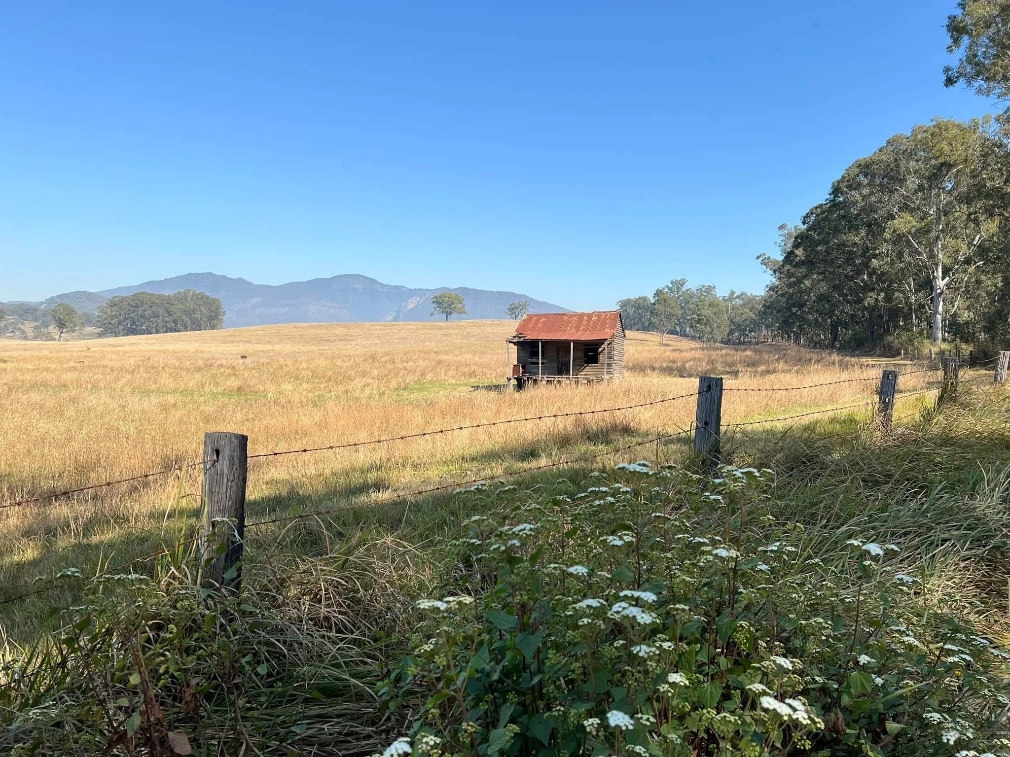 Charlie's Hut Scenic Rim Qld 