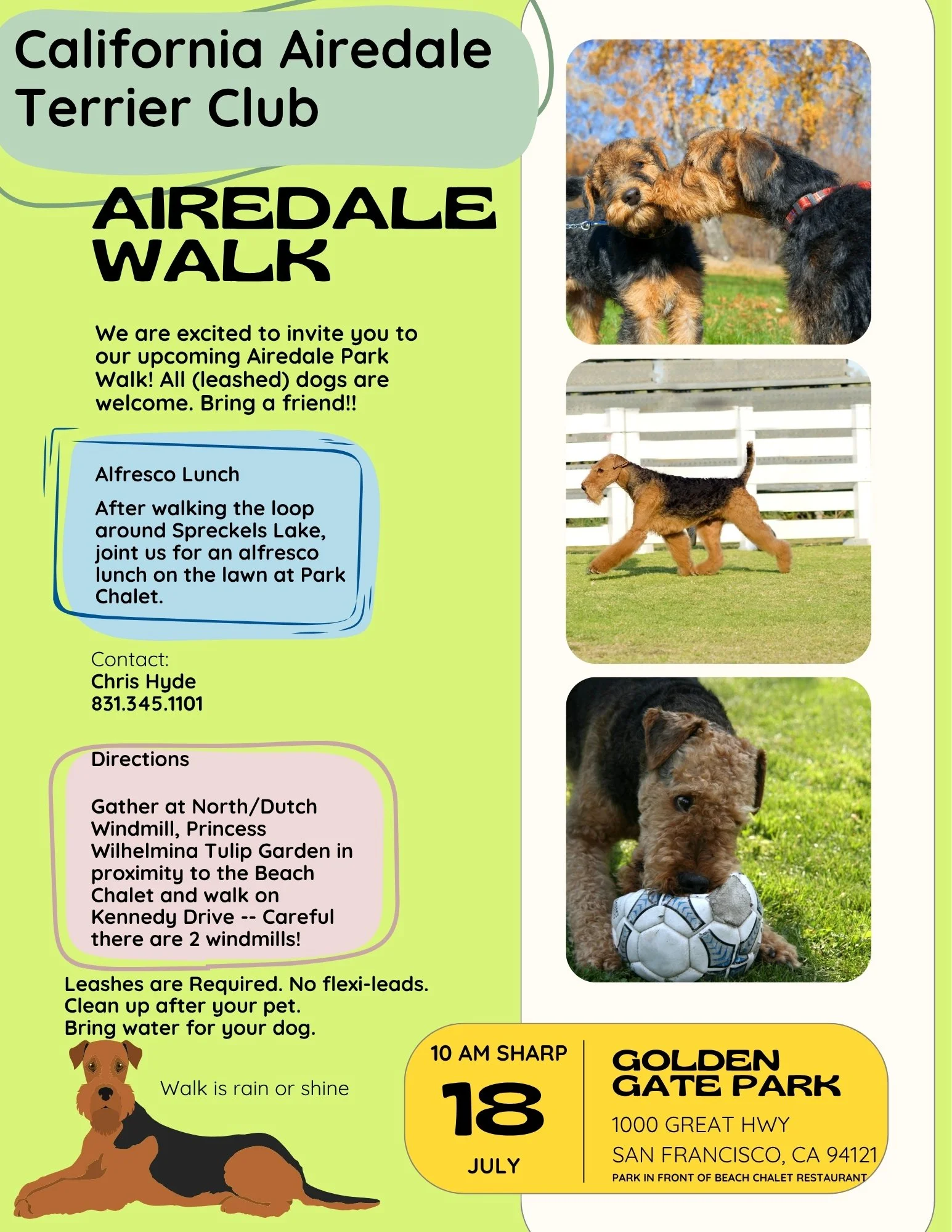 California Airedale Terrier Club.jpg