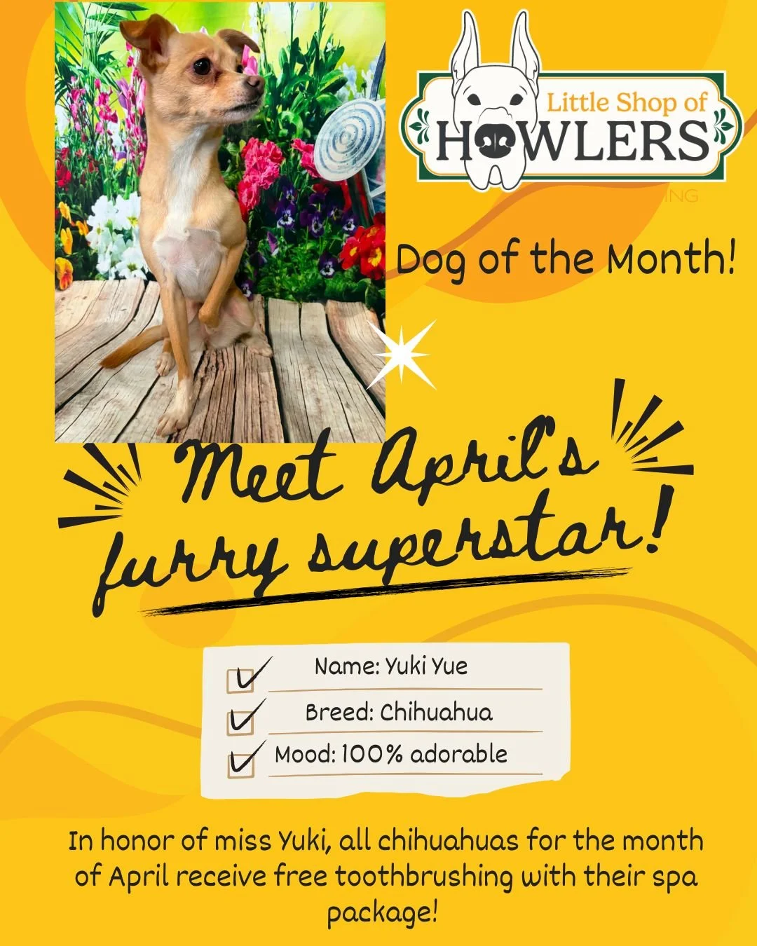 april dog of the month.jpg