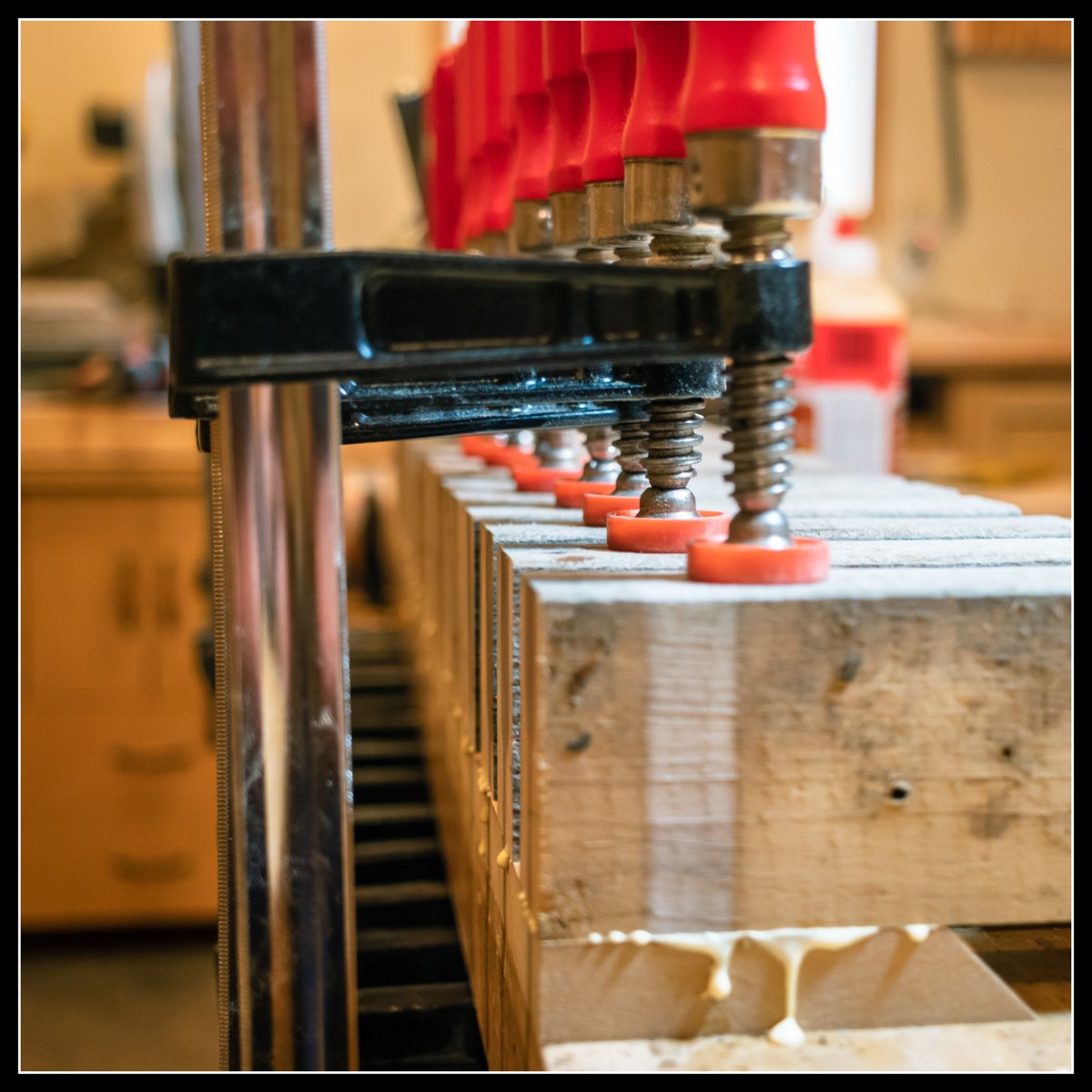 Benchmark clamps lined up in pipe‑clamp hangers, holding glued boards with worn red clamp pads visible.
