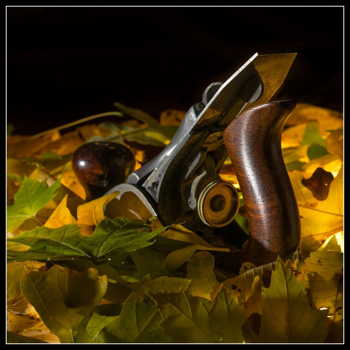 Knotty Dave’s Fine Woodworking